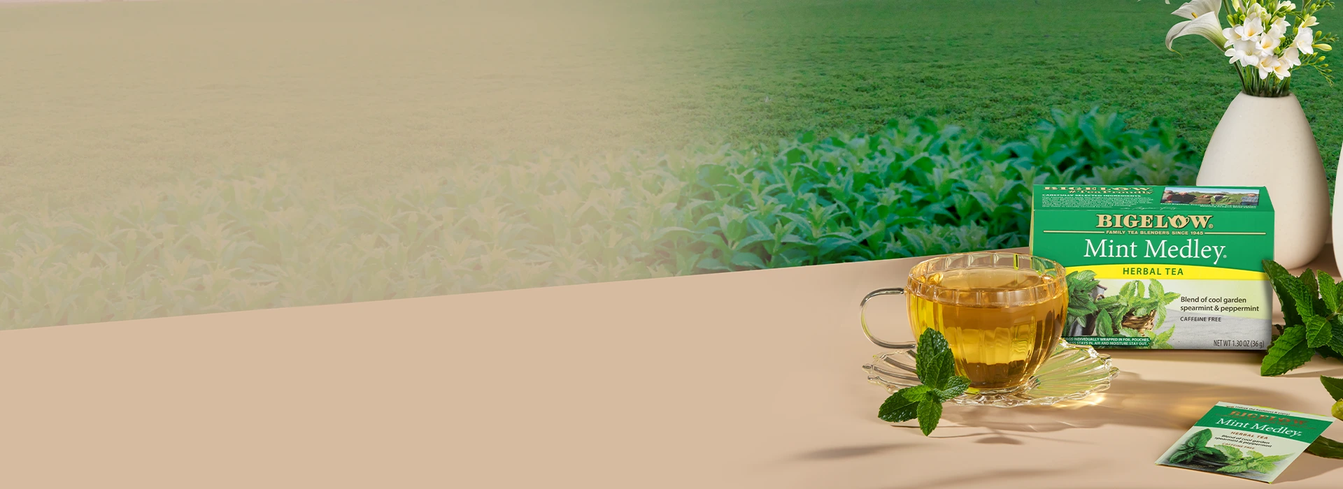 Elevate Your Daily Tea Ritual