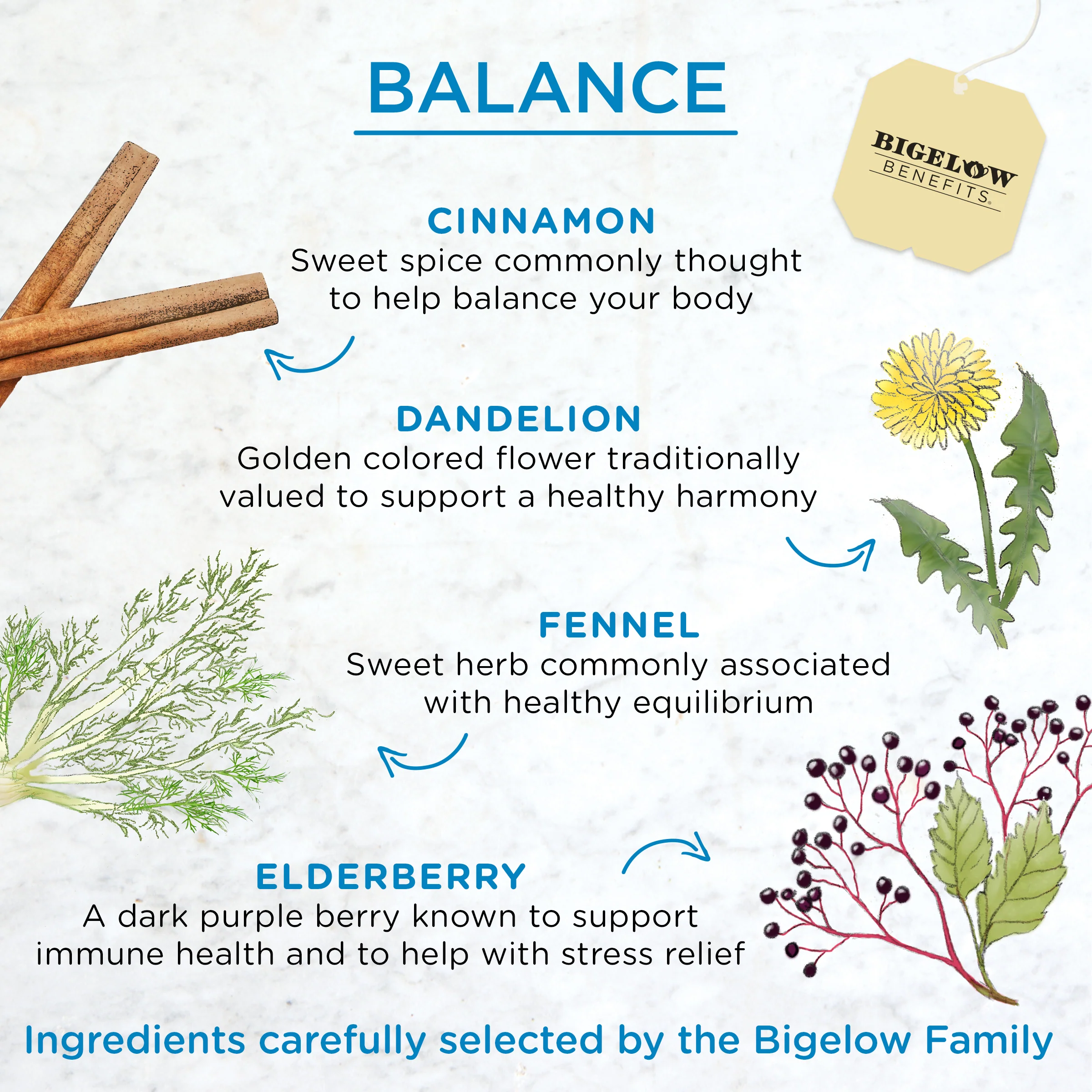 Balance Cinnamon and Blackberry Herbal Tea - Image 3