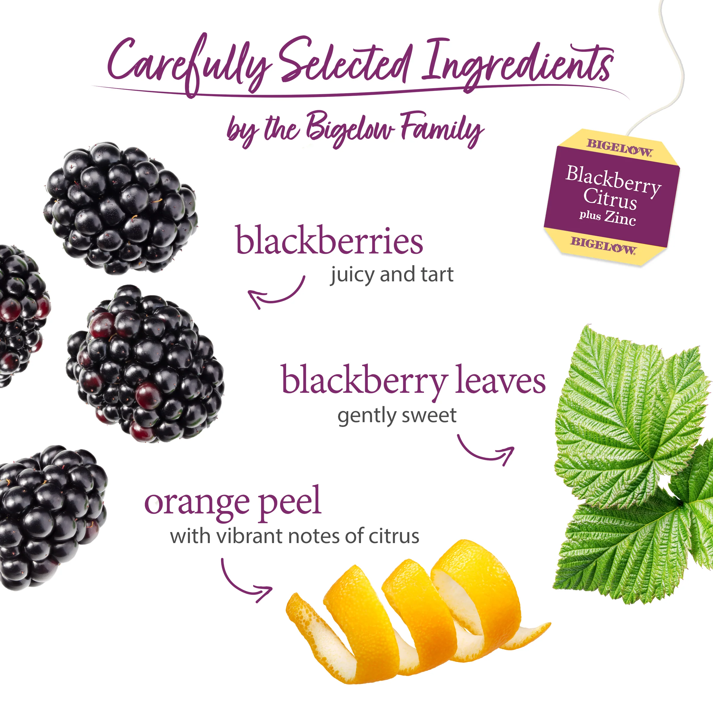 Blackberry Citrus Plus Zinc Herbal Tea - Image 3