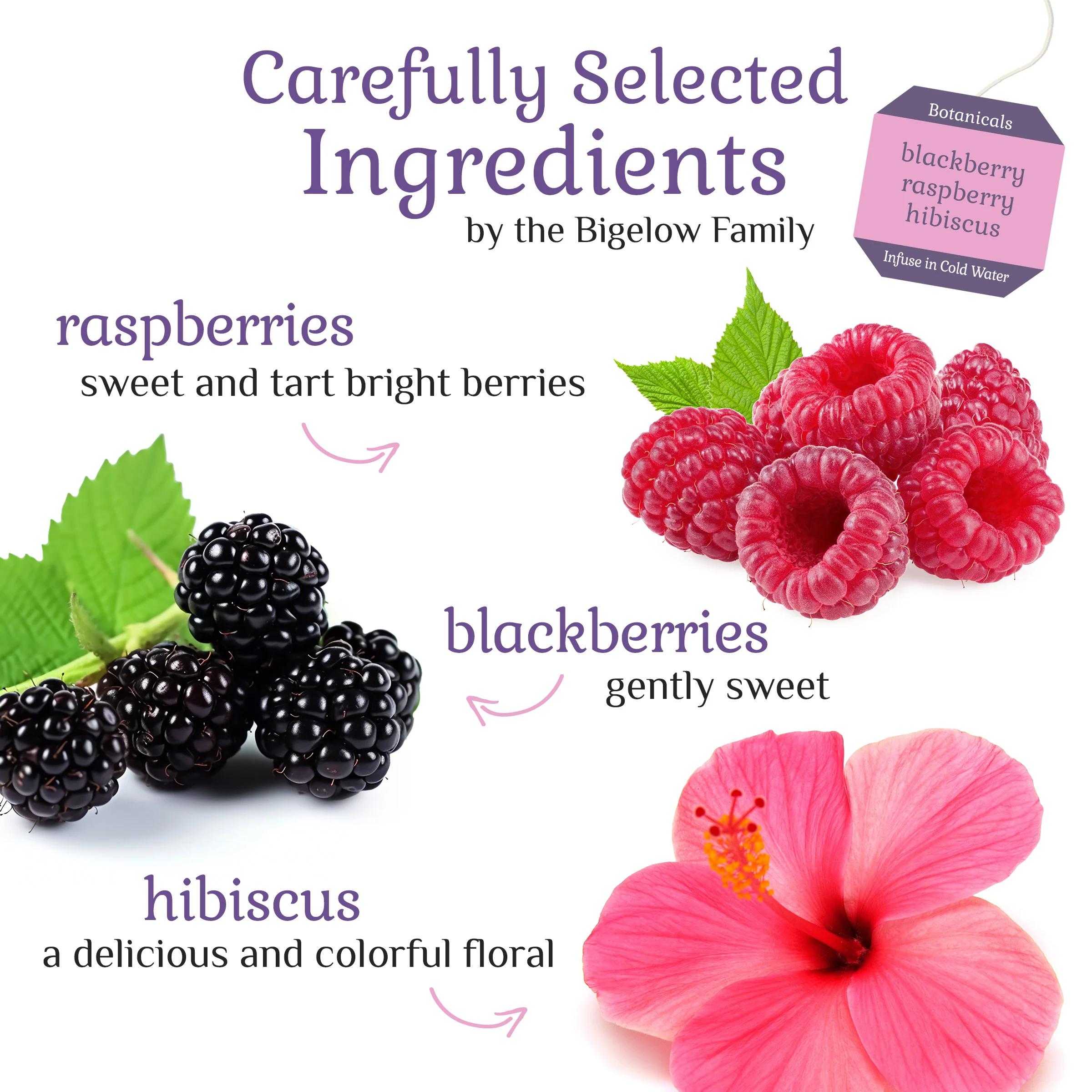 Blackberry Raspberry Hibiscus Cold Water Infusion - Image 3