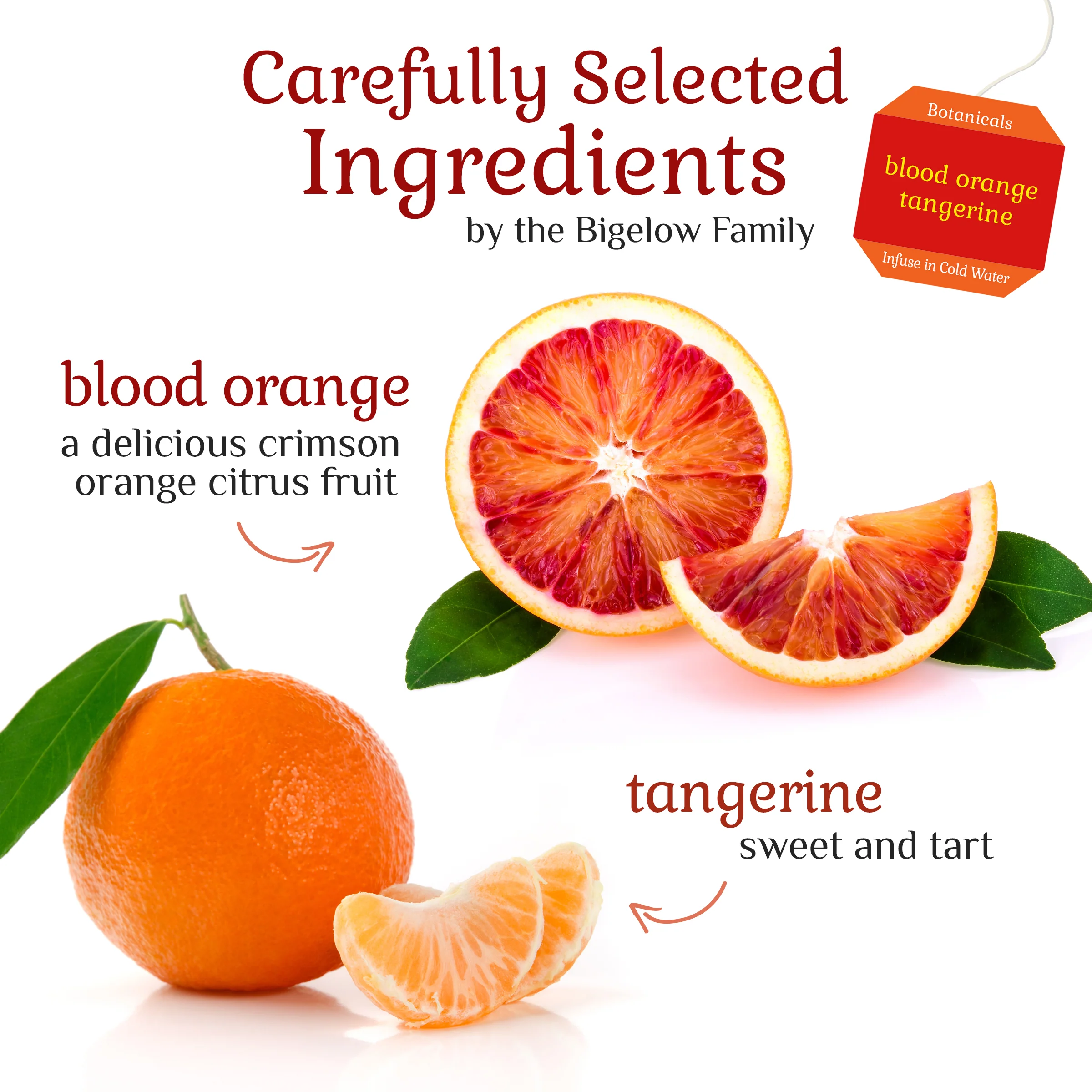 Blood Orange Tangerine Cold Water Infusion - Image 3
