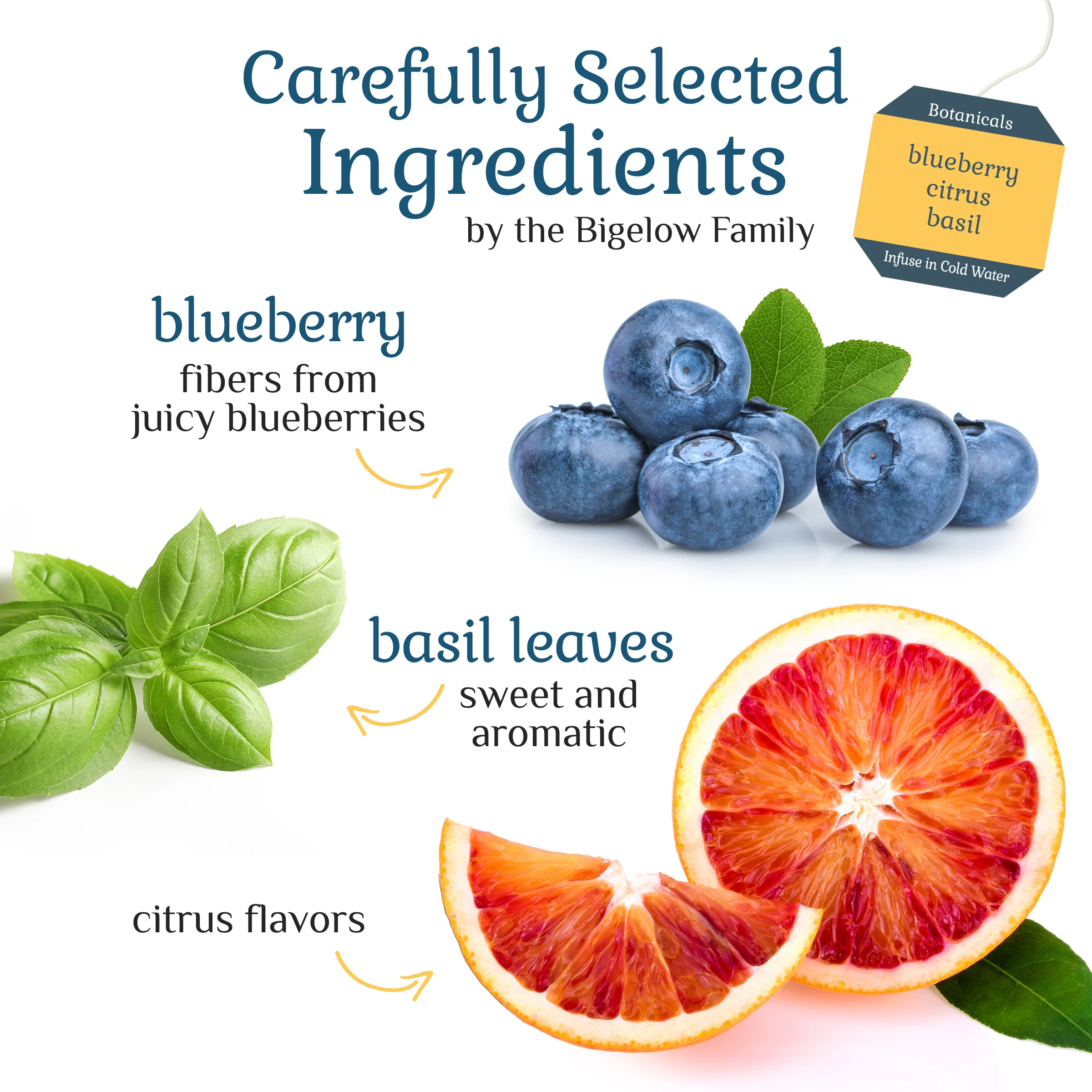 Blueberry Citrus Basil Cold Water Infusion - Image 3