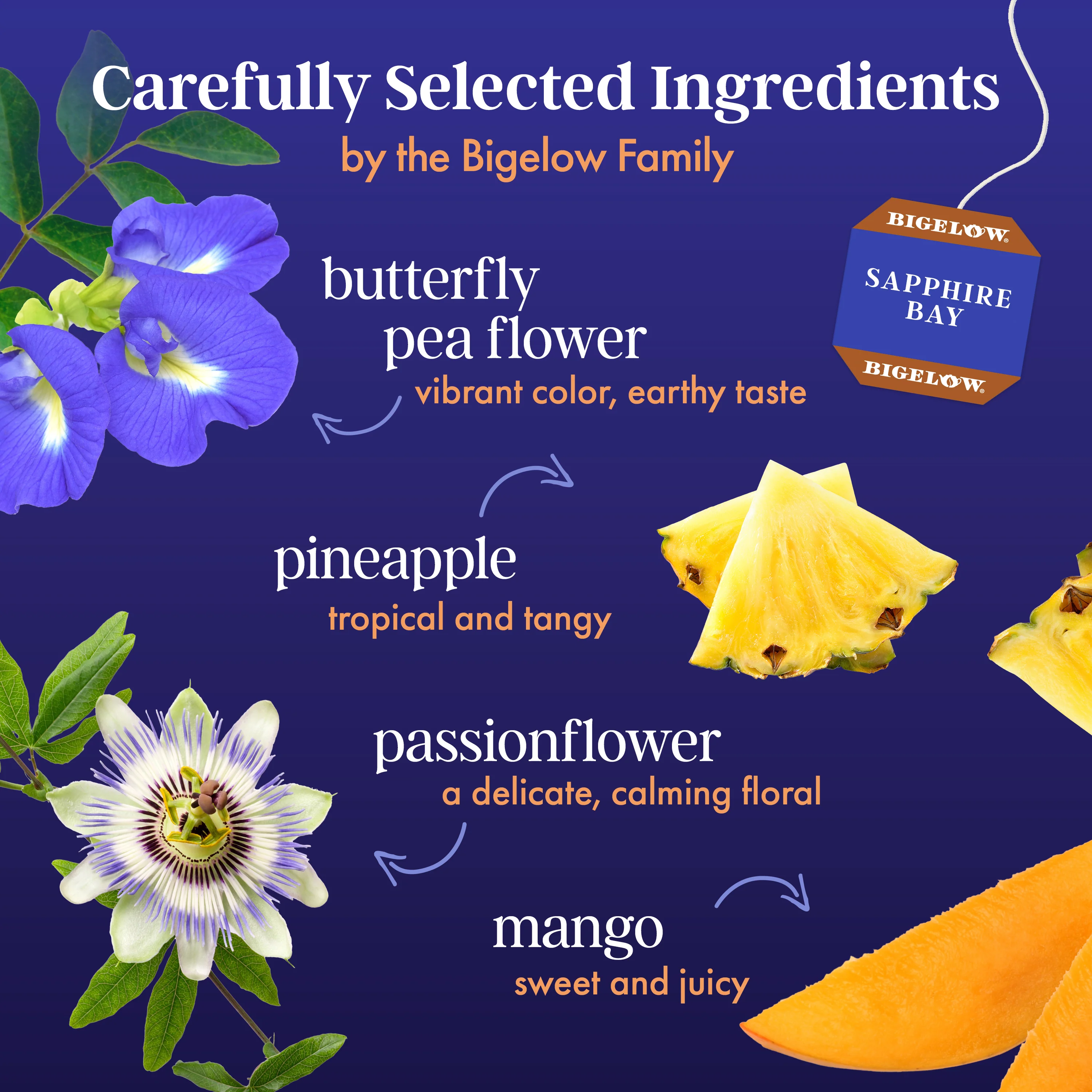 Butterfly Pea Flower Sapphire Bay Herbal Tea - Image 3
