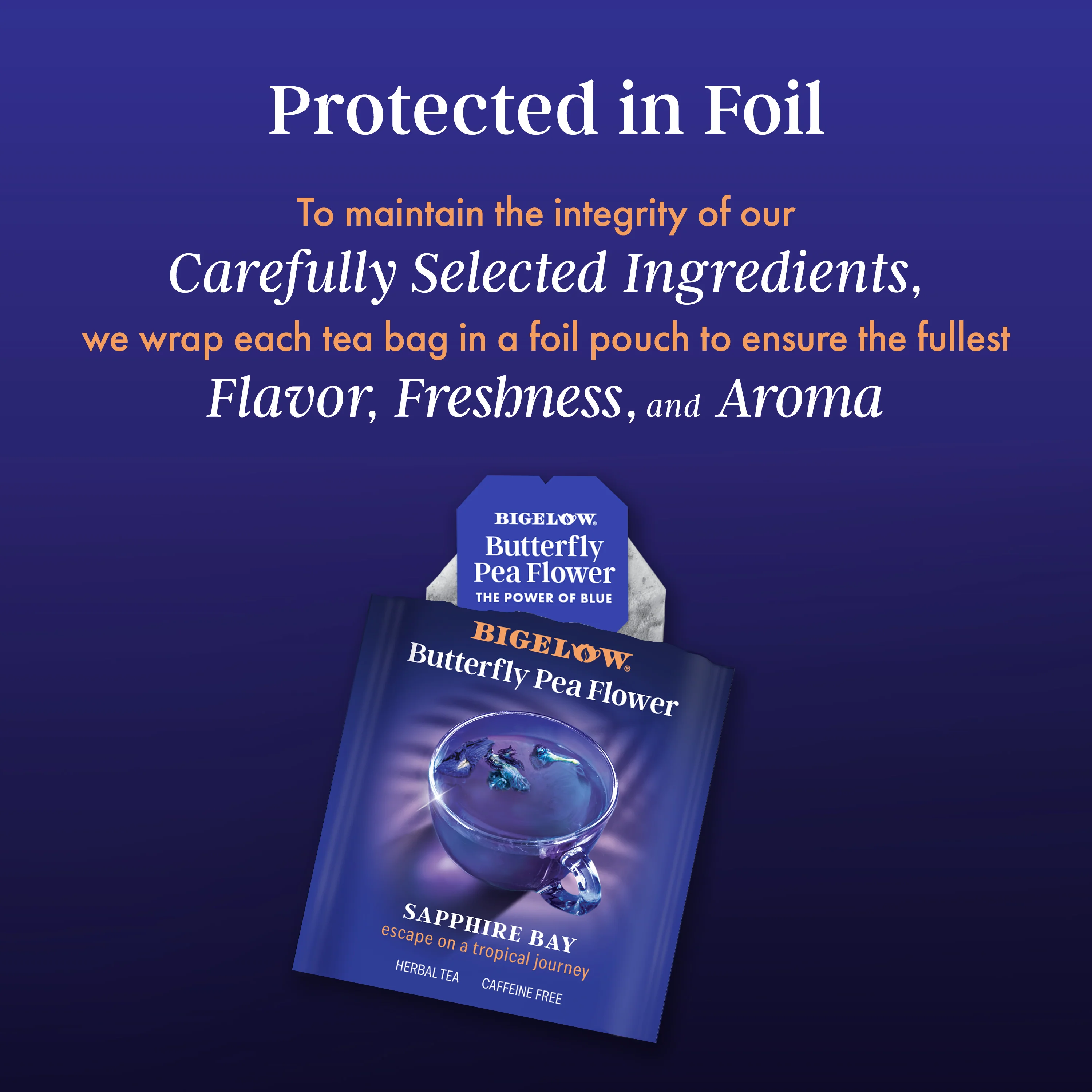 Butterfly Pea Flower Sapphire Bay Herbal Tea - Image 4