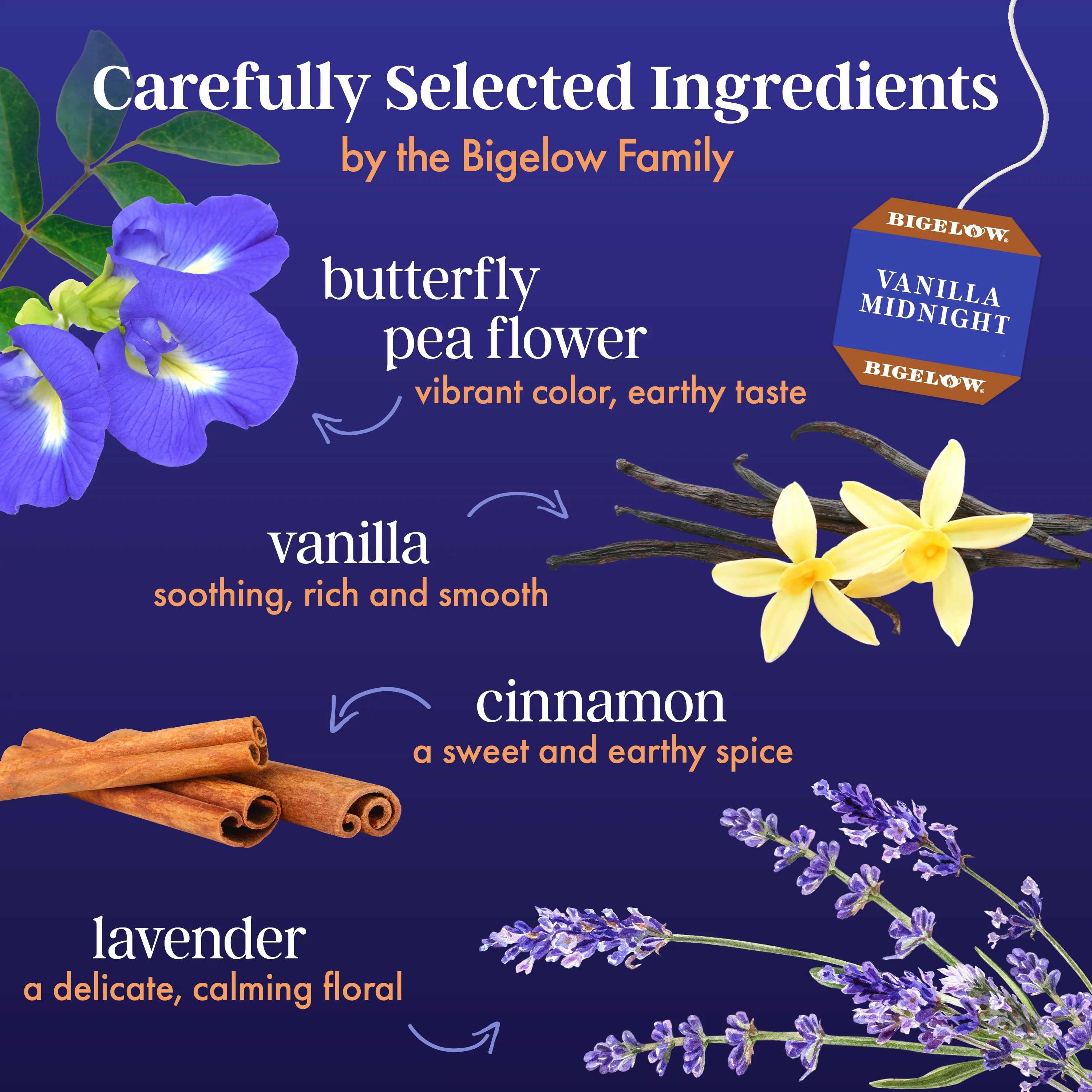 Butterfly Pea Flower Vanilla Midnight Herbal Tea - Image 3