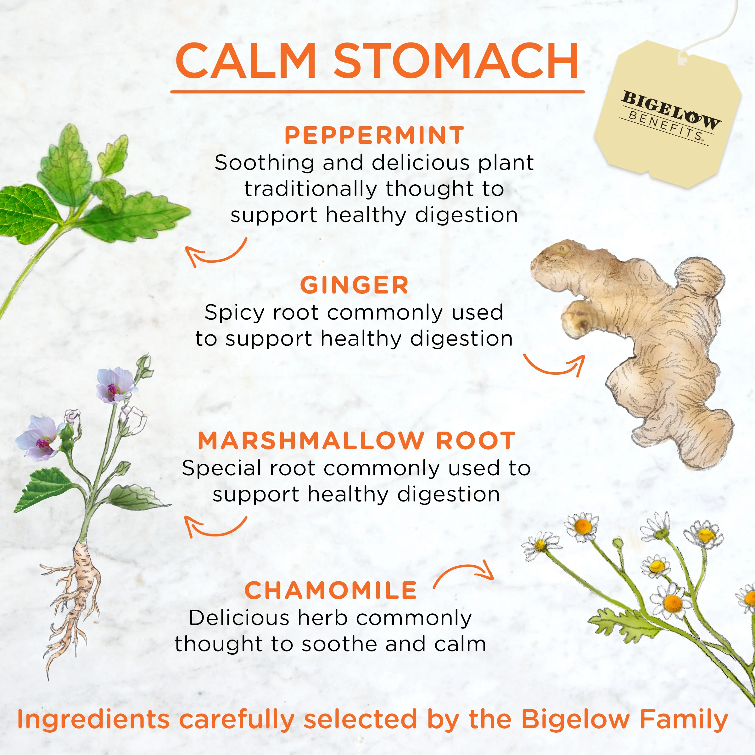 Calm Stomach Ginger and Peach Herbal Tea - Image 3