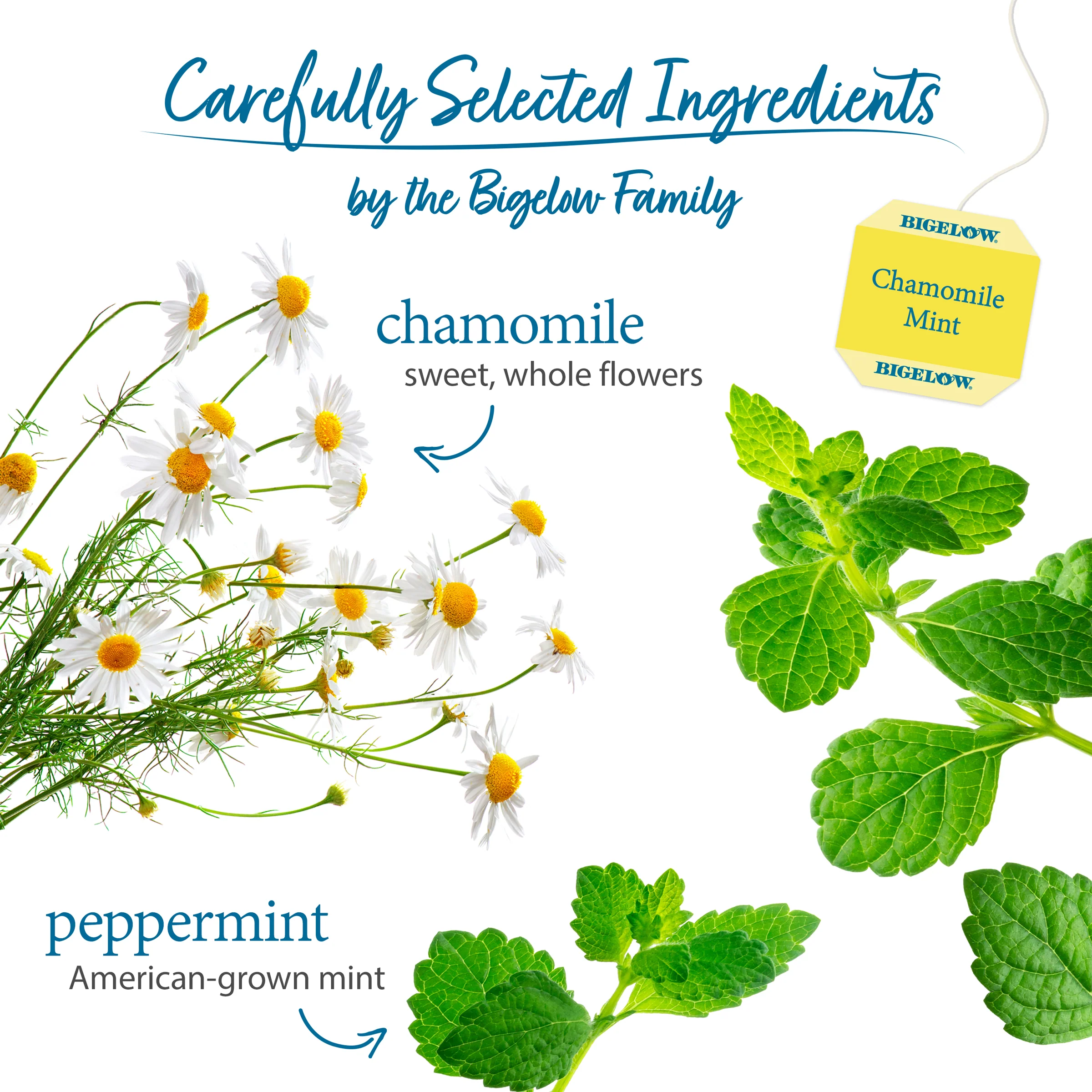 Chamomile Mint Herbal Tea - Image 3