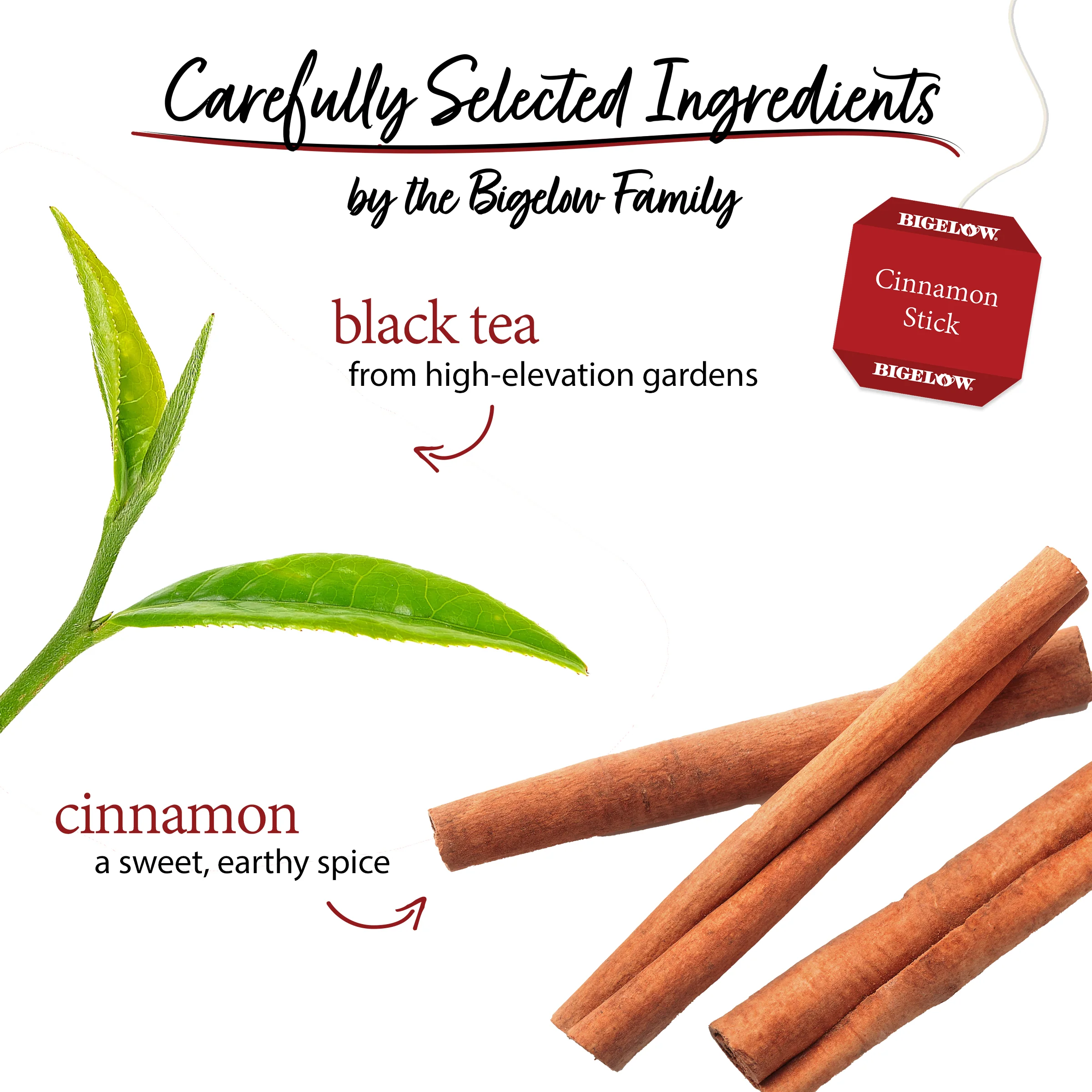 Cinnamon Stick® Black Tea - Image 3