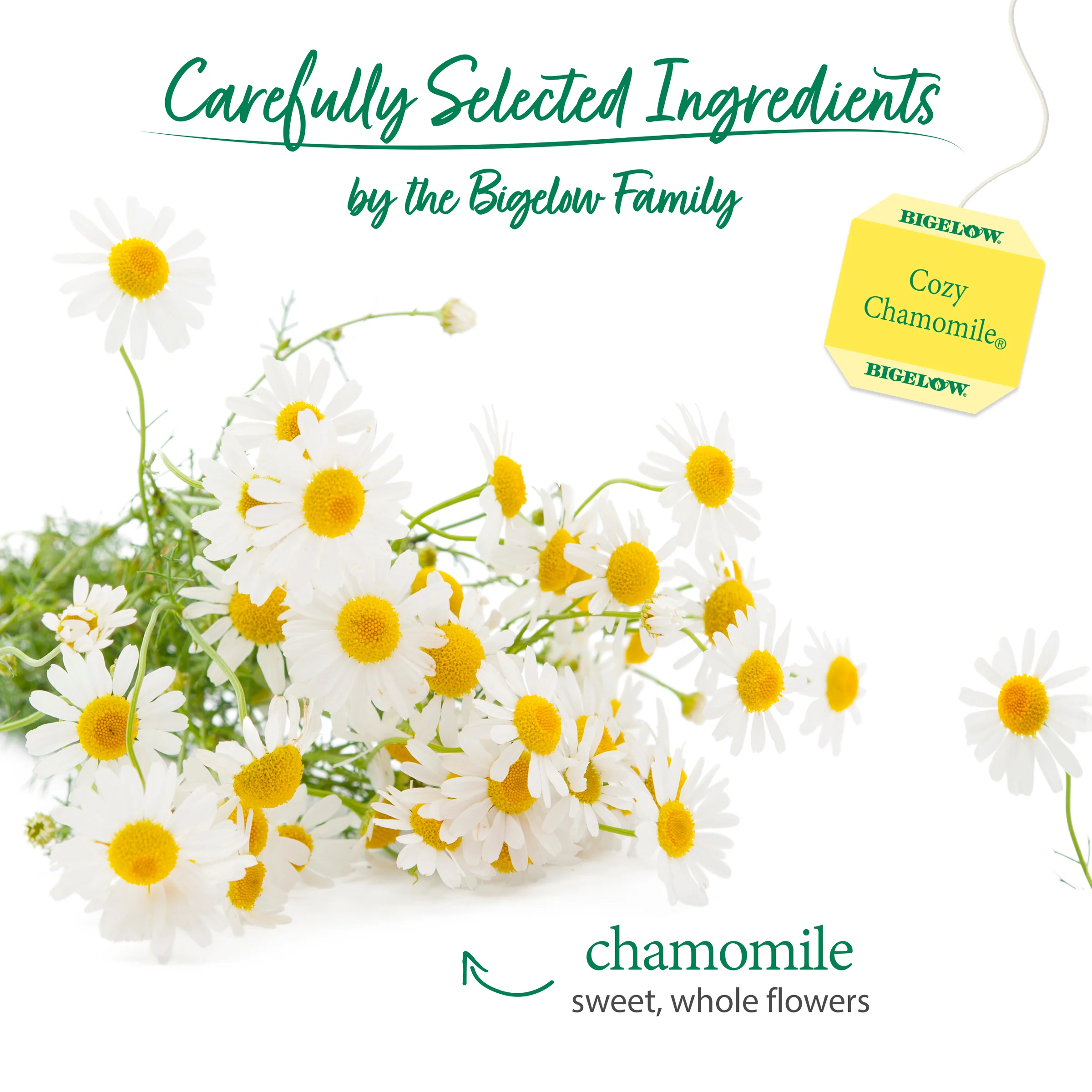 Cozy Chamomile® Herbal Tea - Image 3