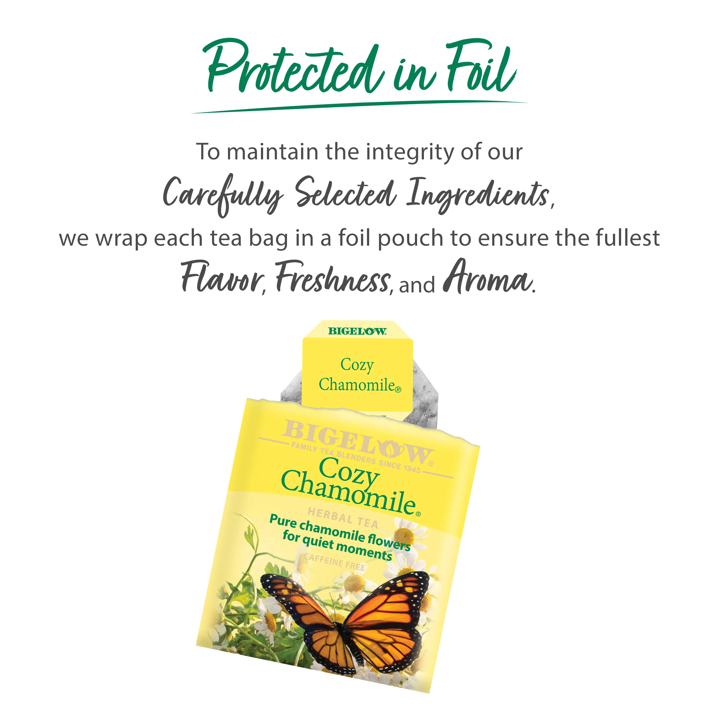 Cozy Chamomile® Herbal Tea - Image 4