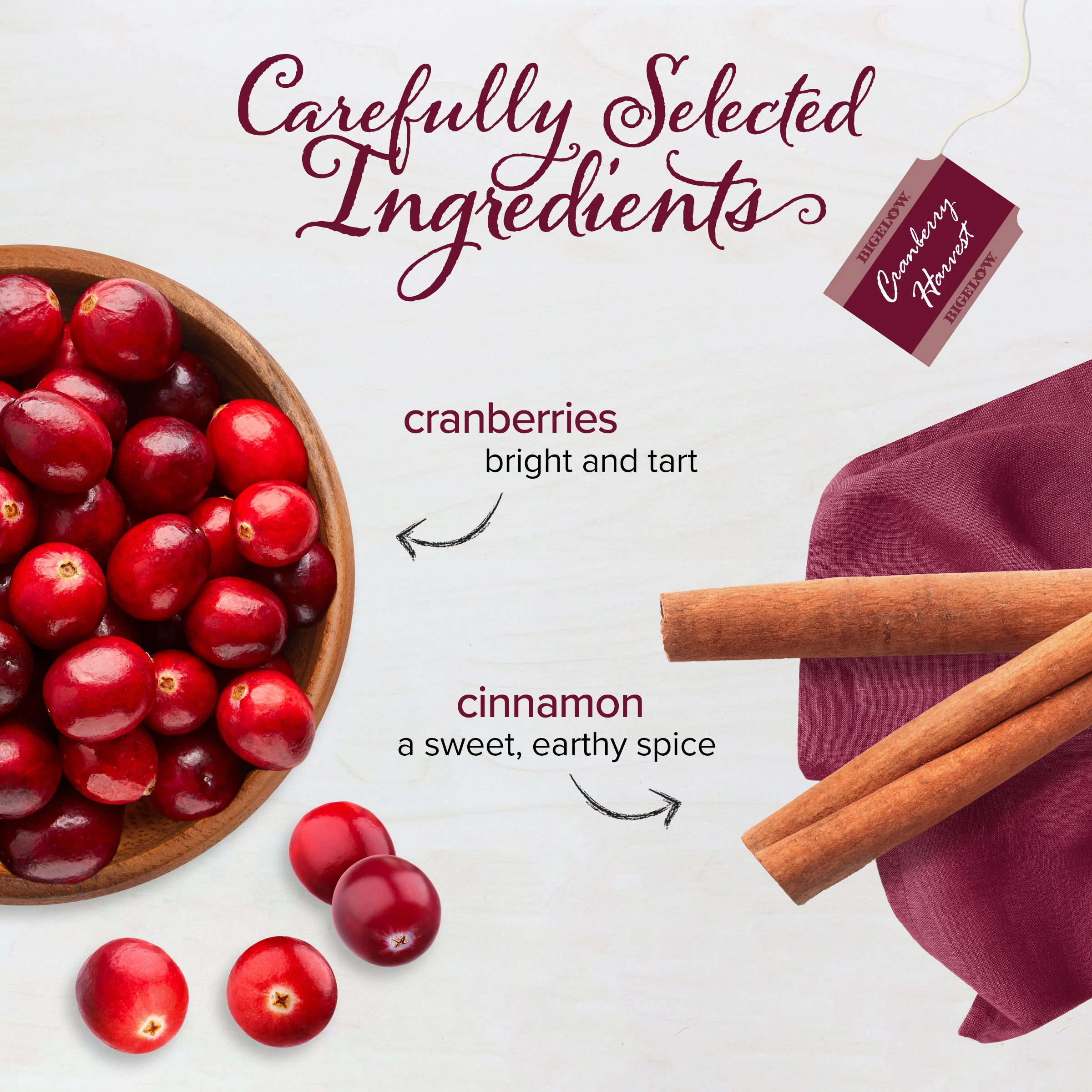 Cranberry Harvest Herbal Tea - Image 3