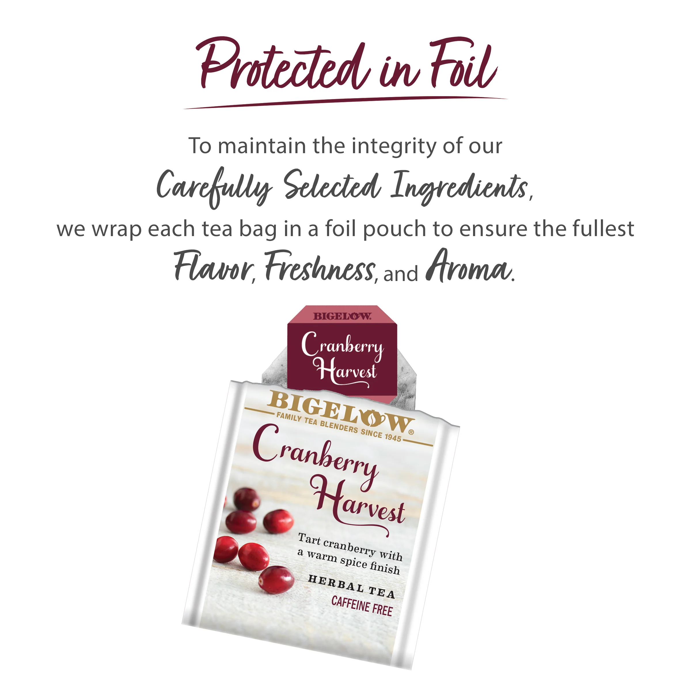Cranberry Harvest Herbal Tea - Image 4