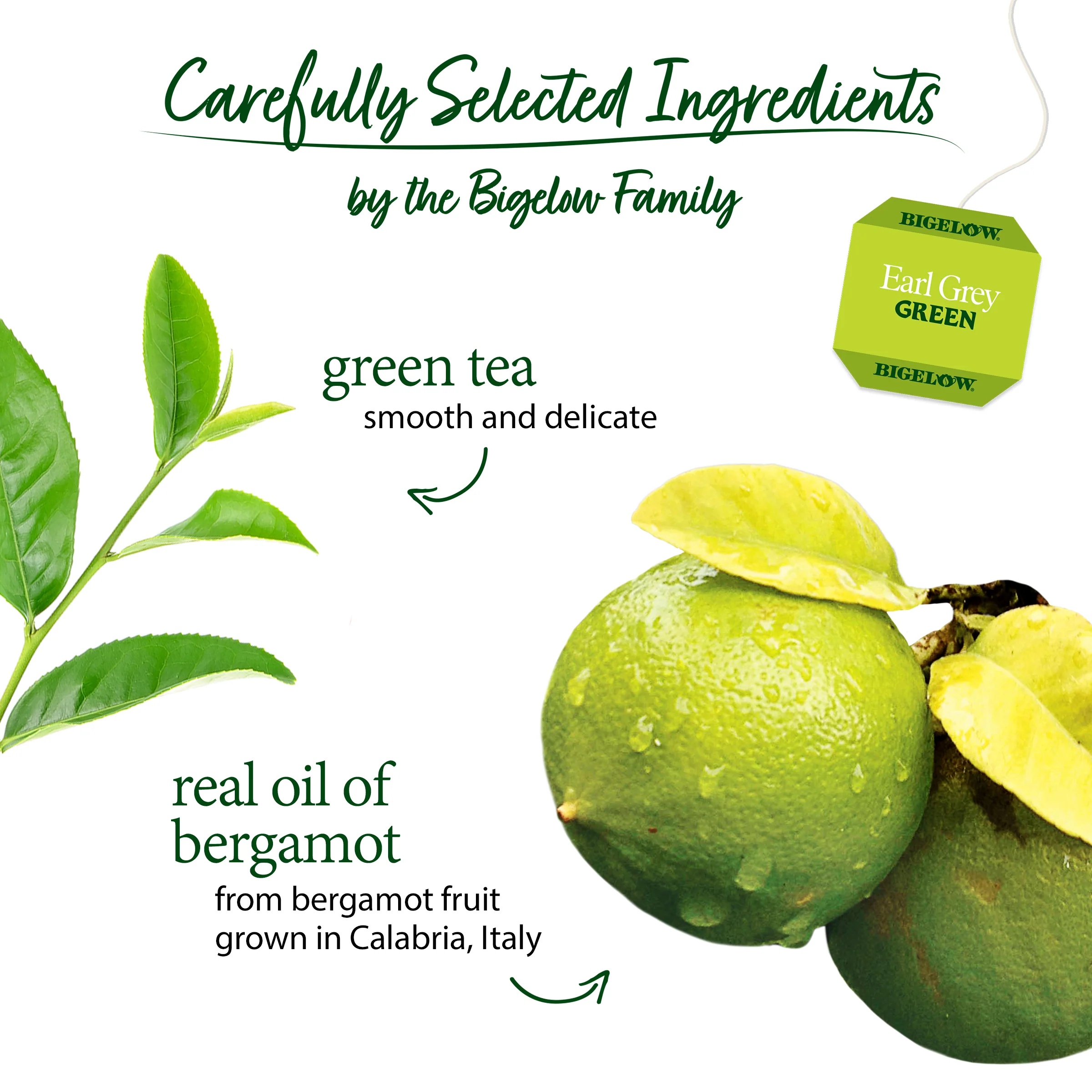 Earl Grey Green Tea - Image 3