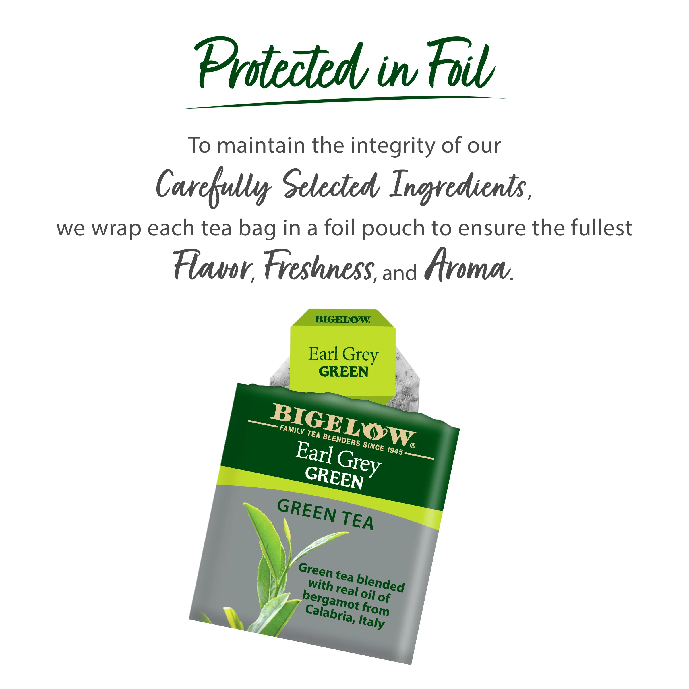 Earl Grey Green Tea - Image 4