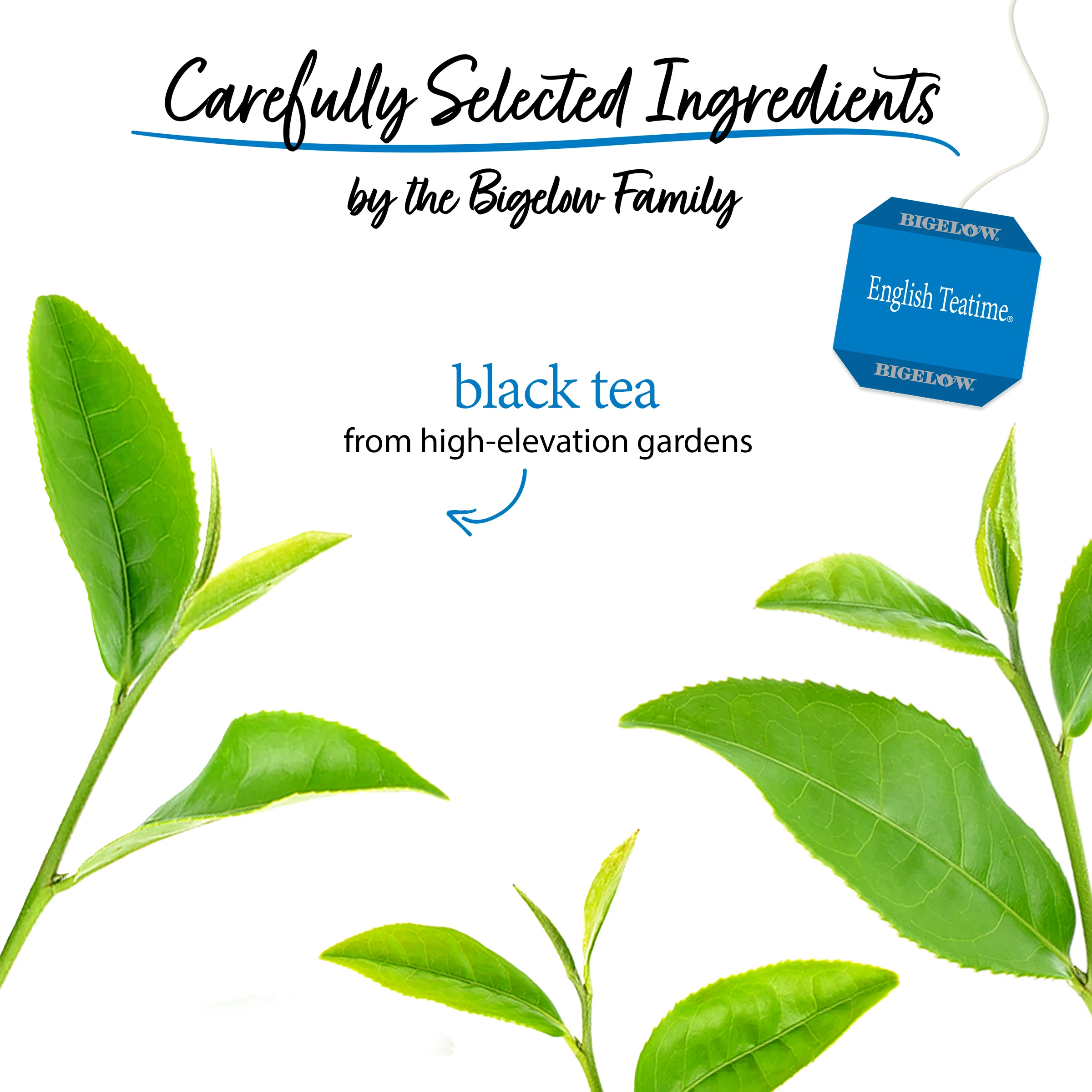 English Teatime Black Tea - Image 3