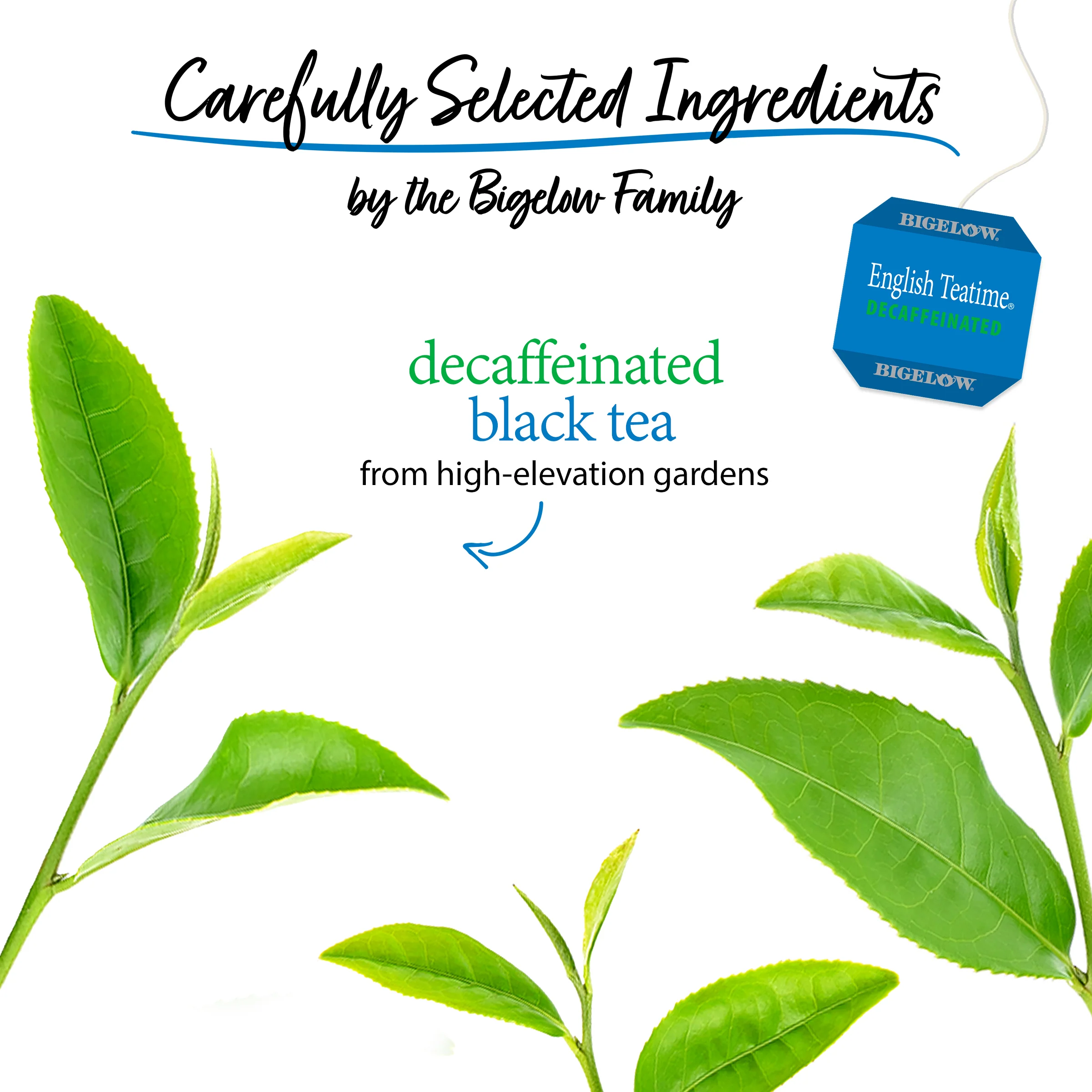 English Teatime Decaf Black Tea - Image 3