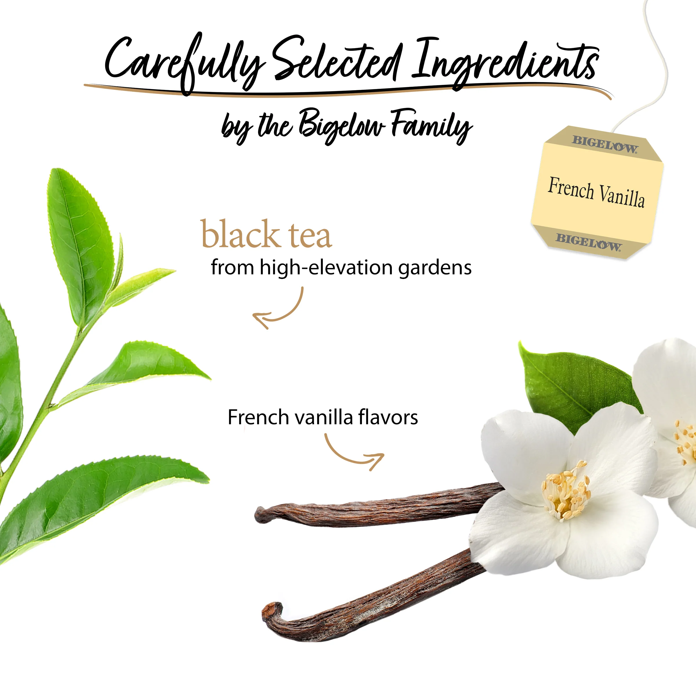 French Vanilla Black Tea - Image 3
