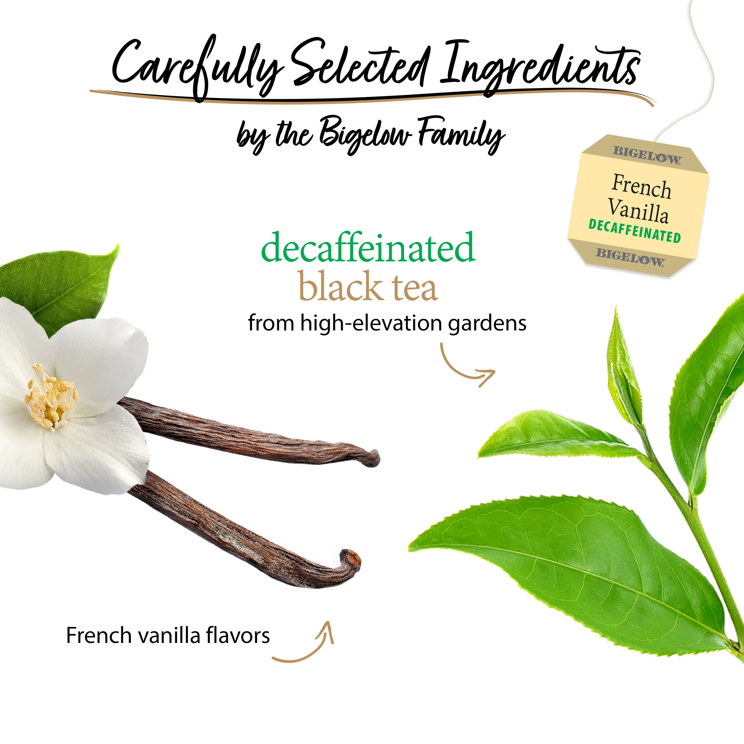 French Vanilla Decaf Black Tea - Image 3