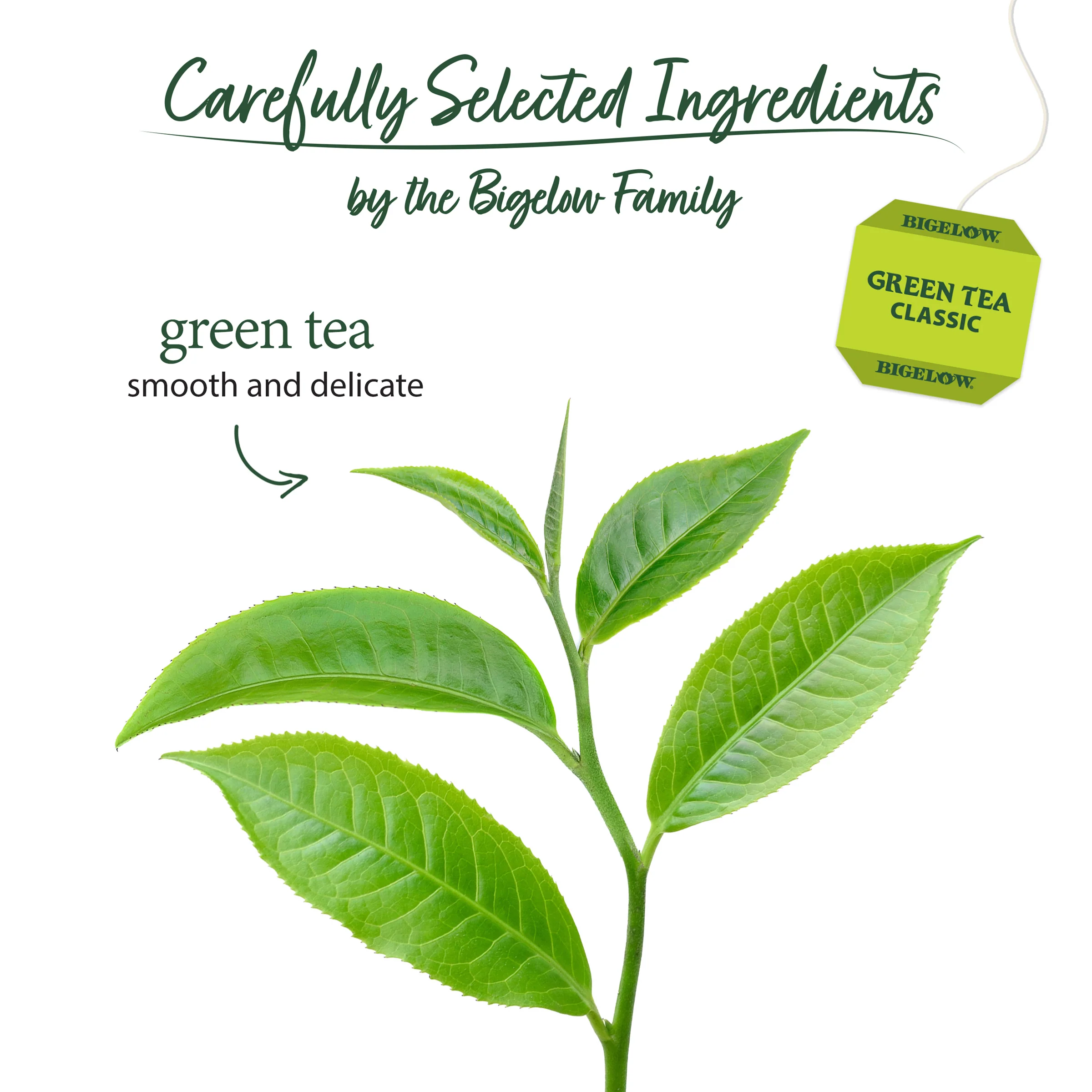Green Tea 40 Count - Image 3