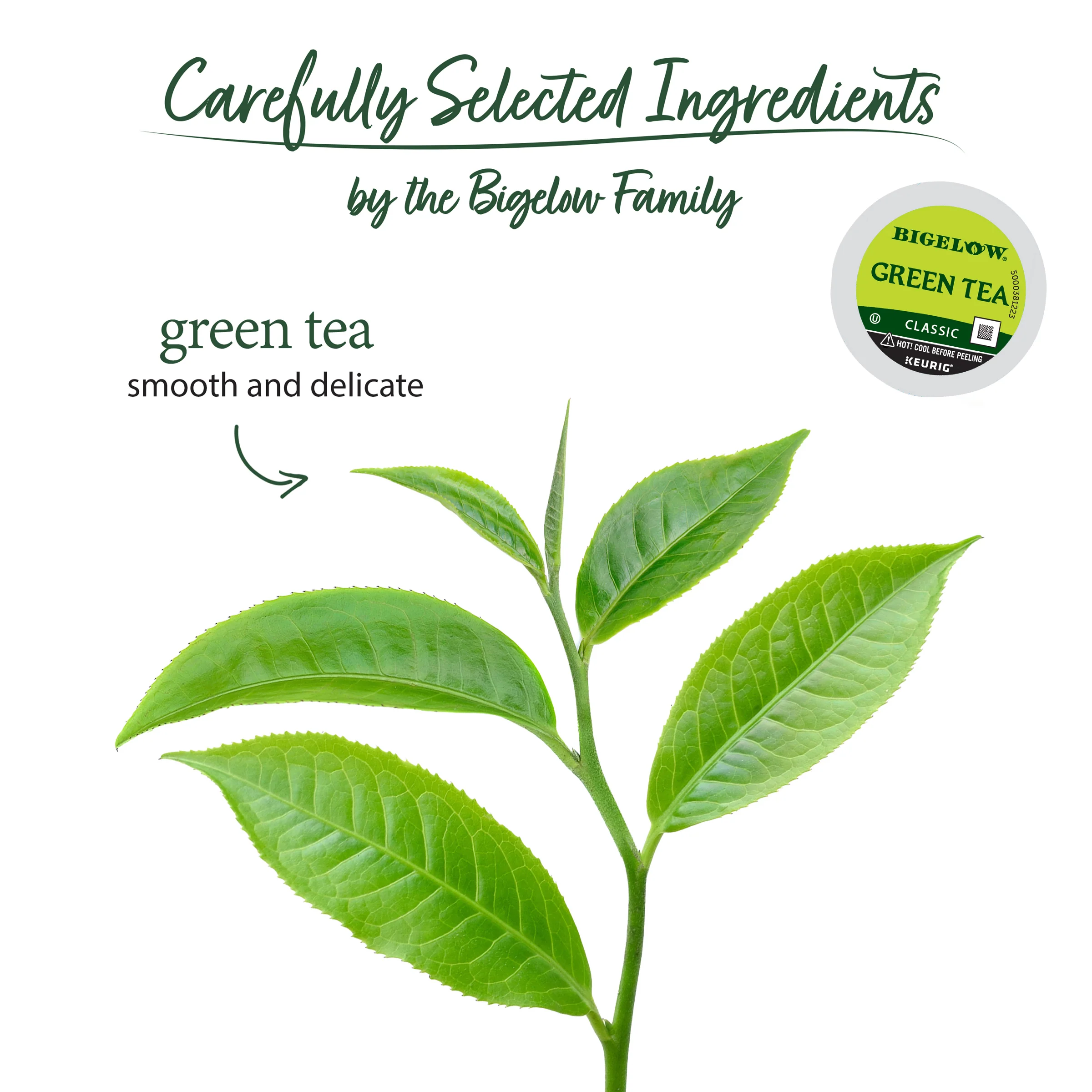 Green Tea K-Cup® Pods 24 Count - Image 3