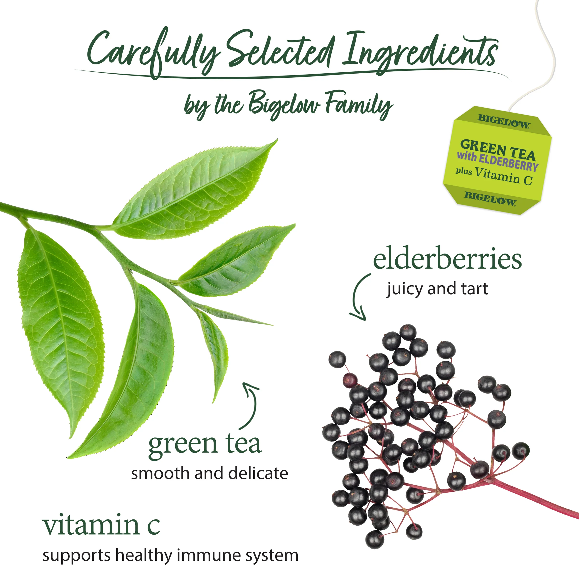 Green Tea with Elderberry Plus Vitamin C - Image 3