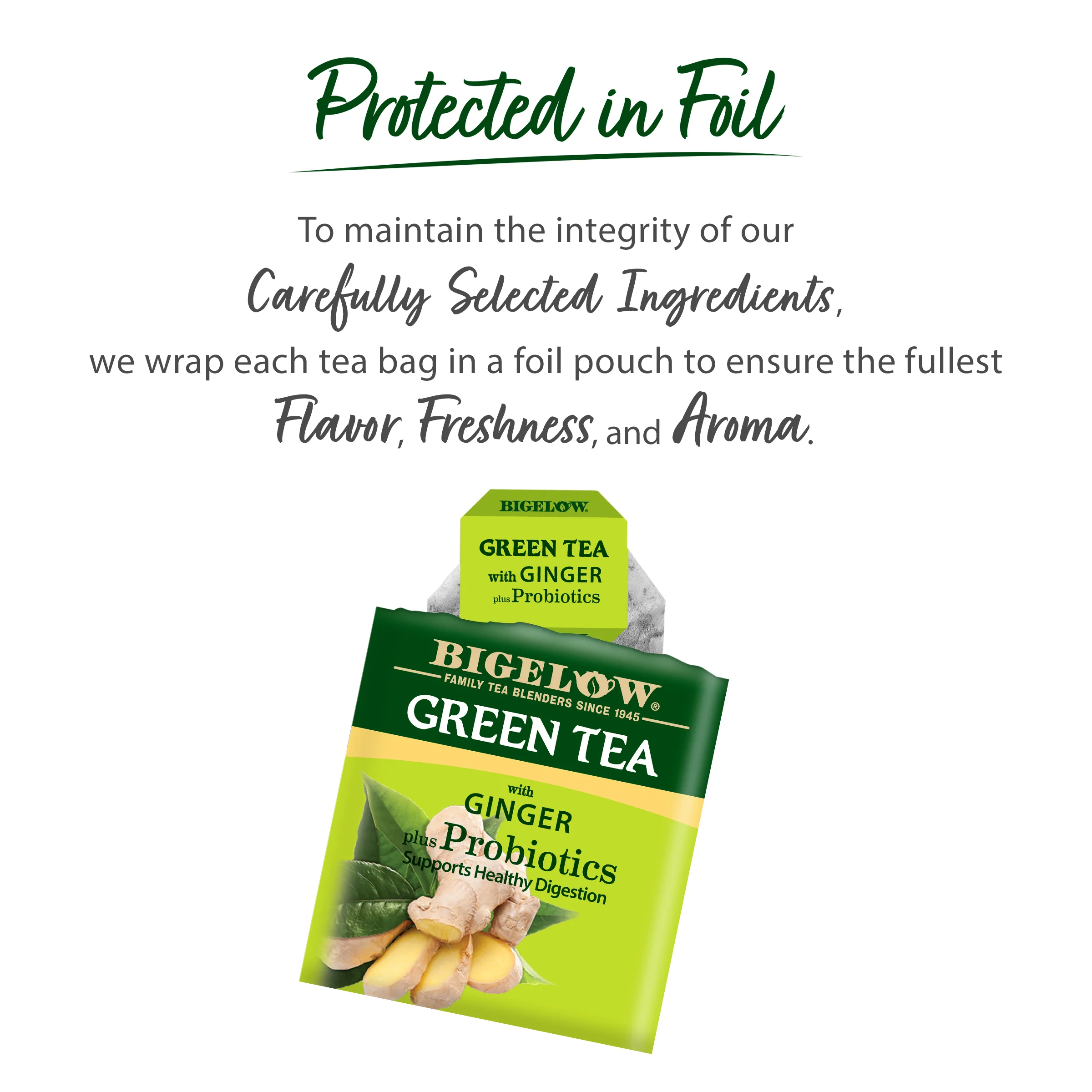Green Tea with Ginger plus Probiotics - Image 4