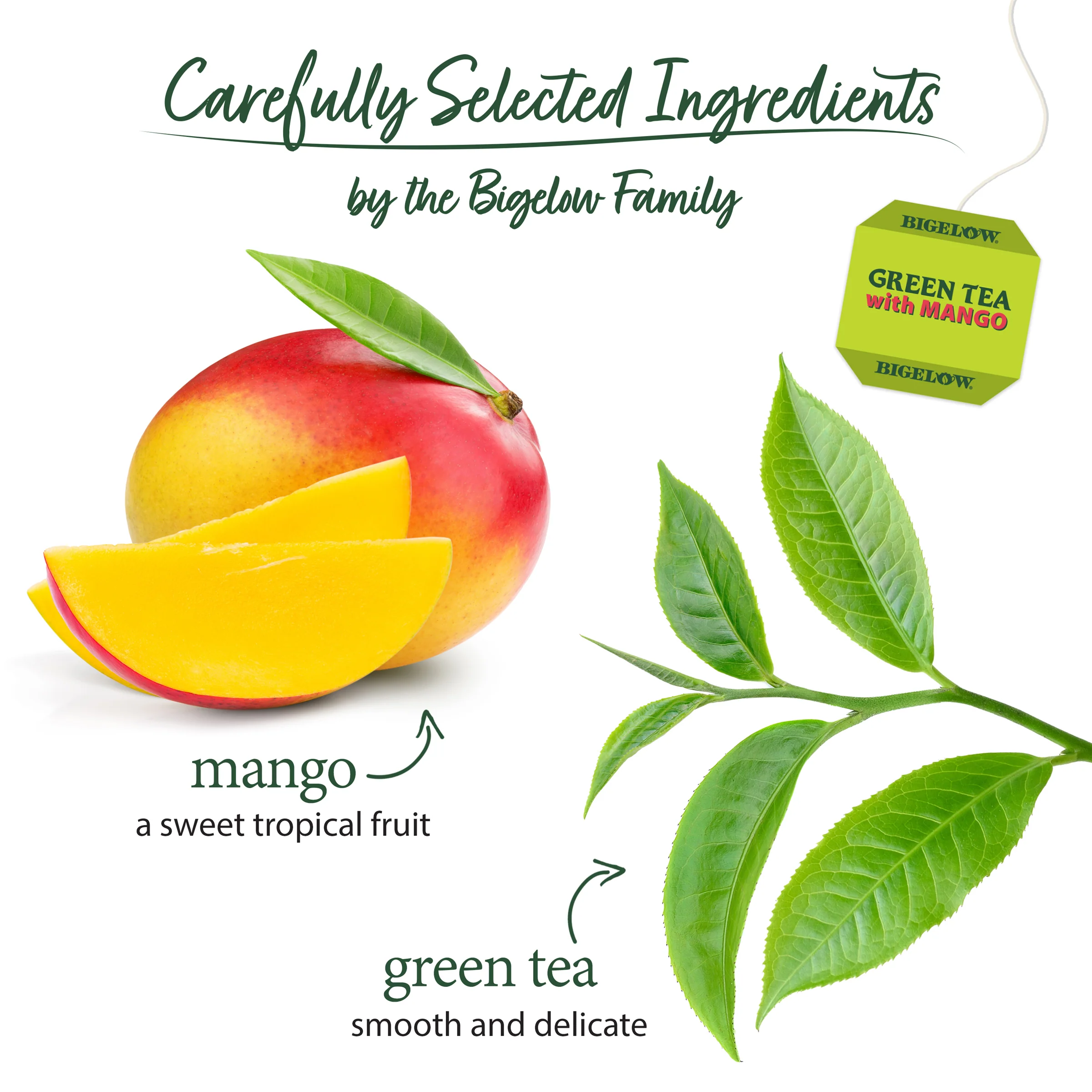 Green Tea with Mango - Image 3