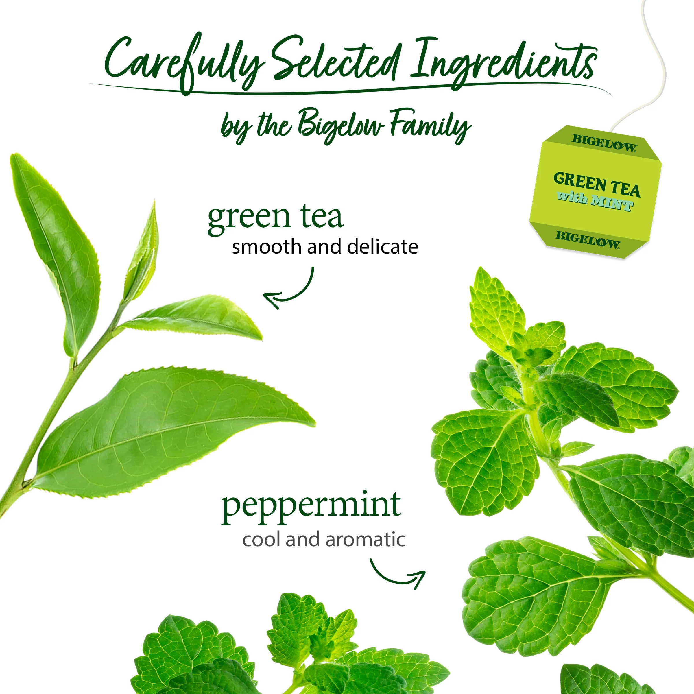 Green Tea with Mint - Image 3