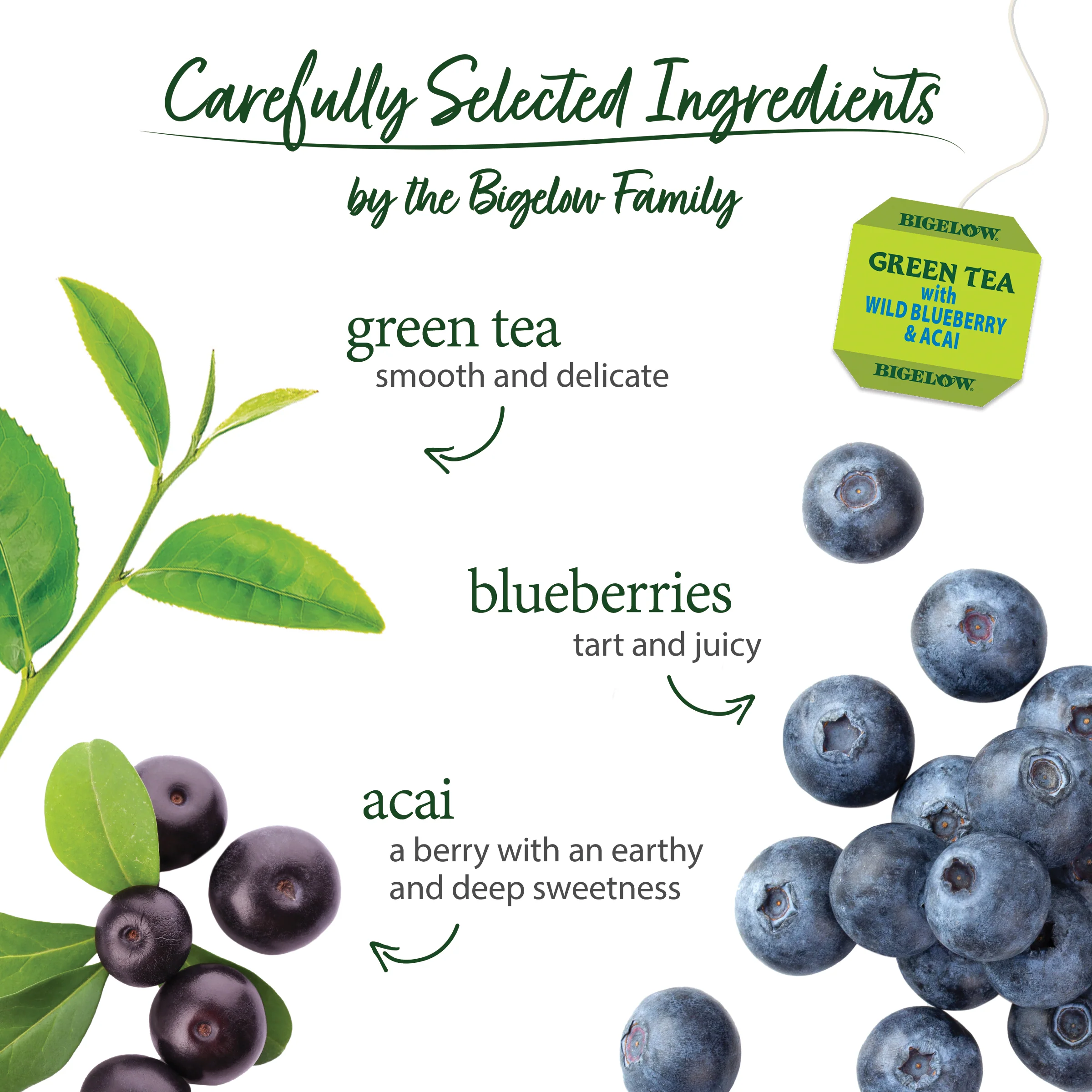 Green Tea with Wild Blueberry Acai - Image 3