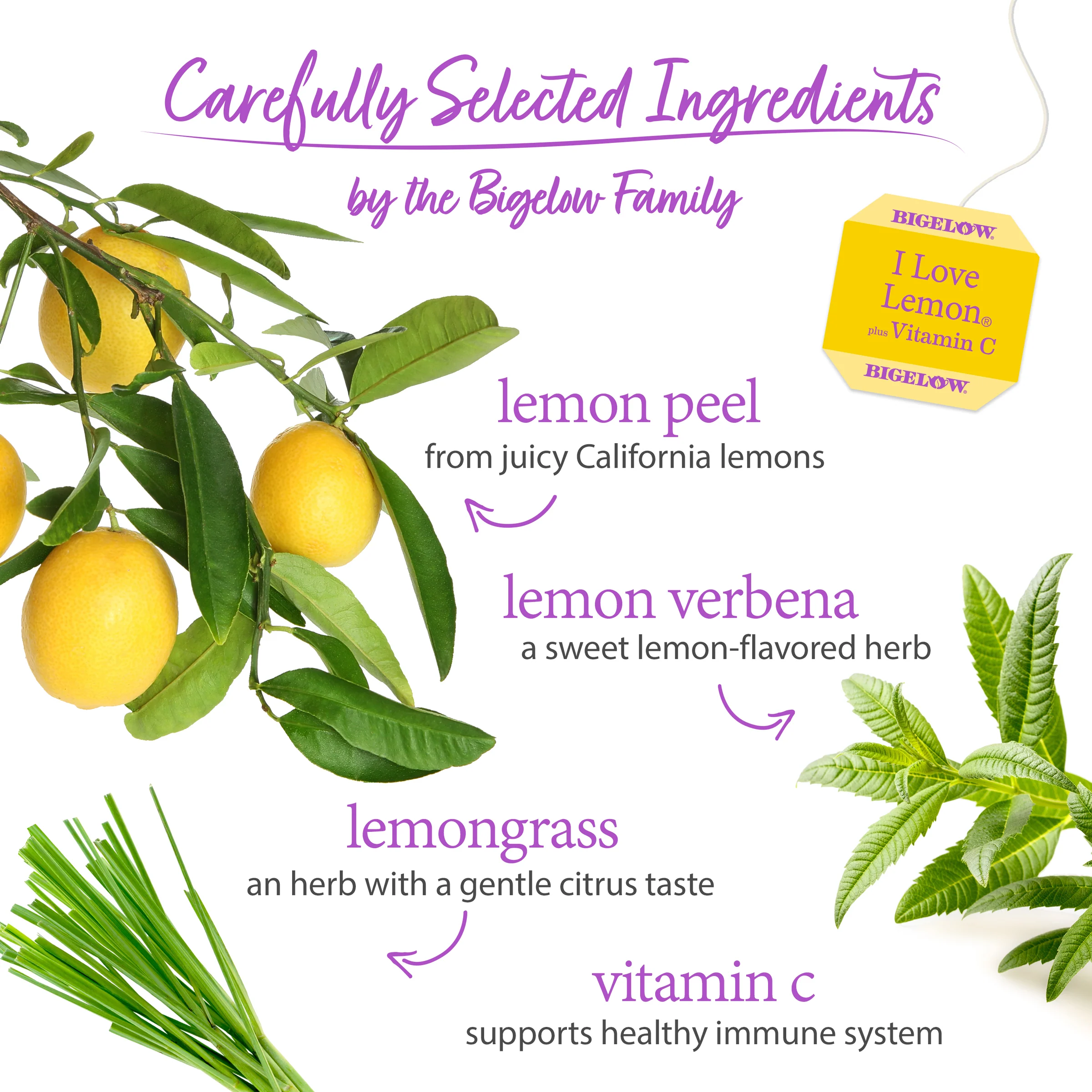 I Love Lemon® Plus Vitamin C Herbal Tea - Image 3