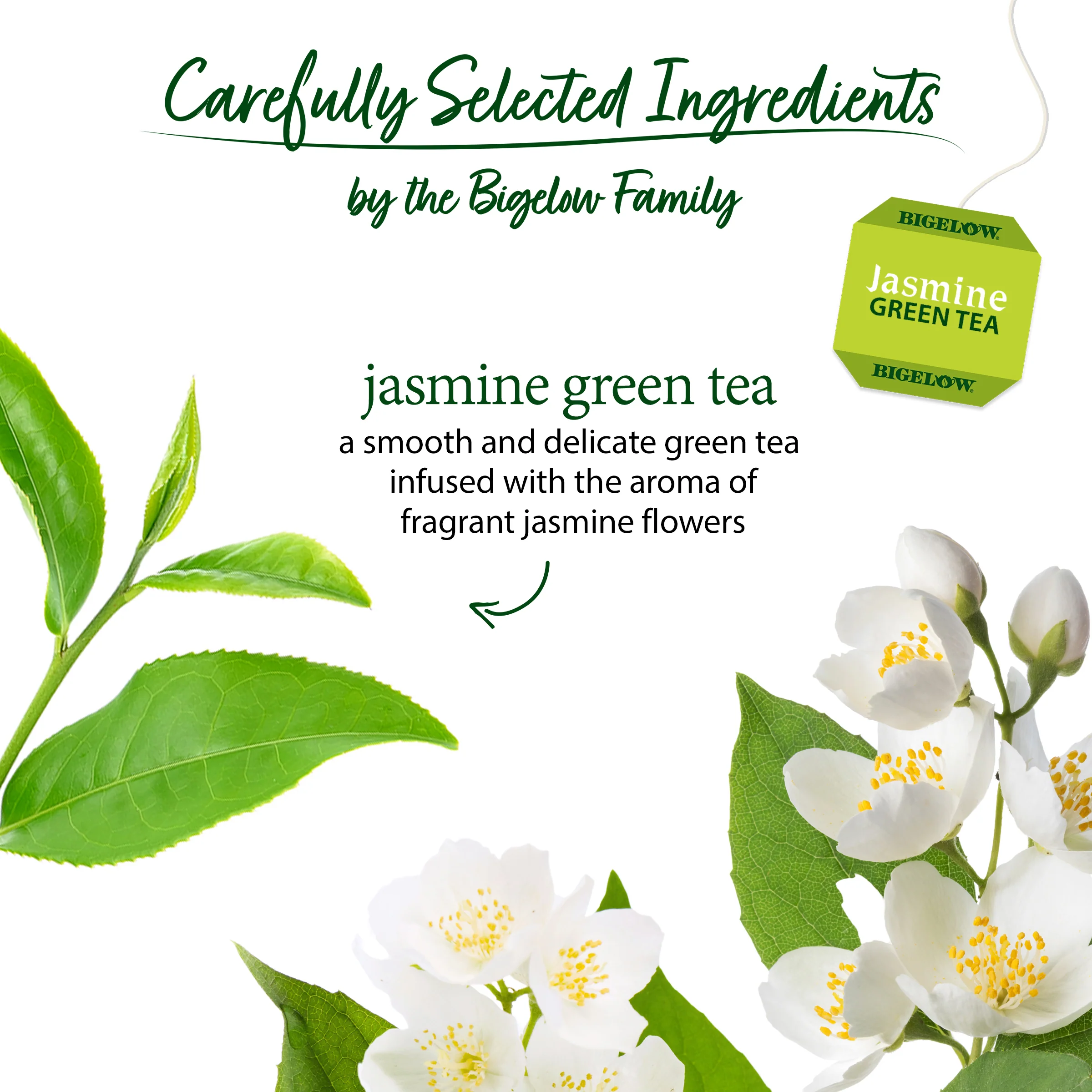 Jasmine Green Tea - Image 3