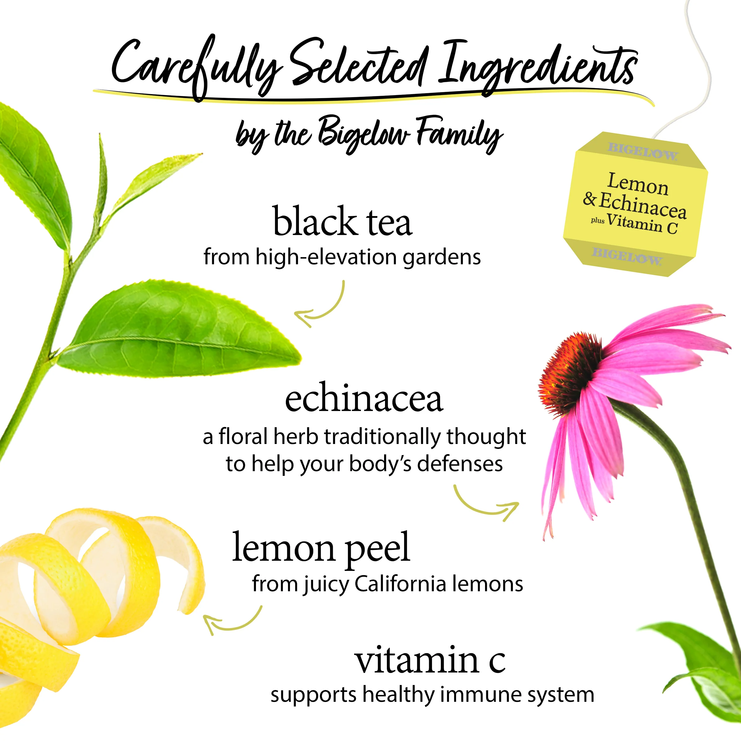 Lemon Echinacea Plus Vitamin C Black Tea - Image 3