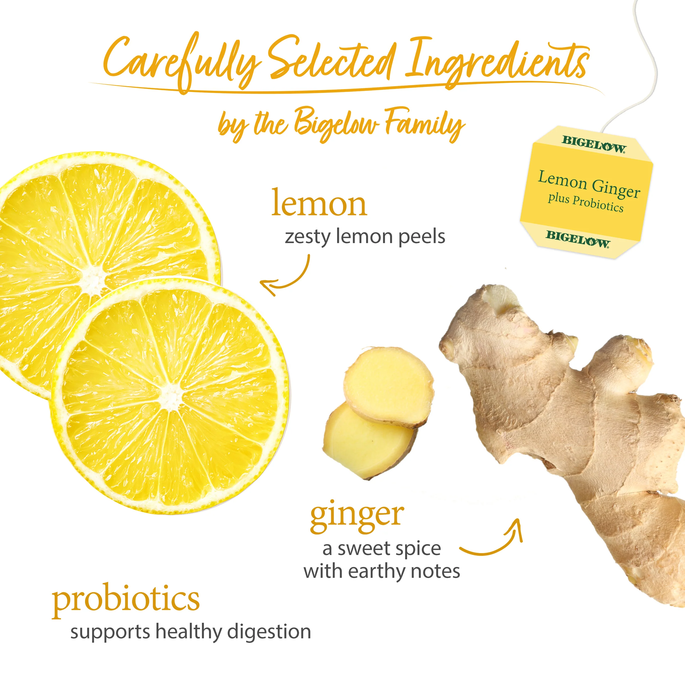 Lemon Ginger Plus Probiotics Herbal Tea - Image 3