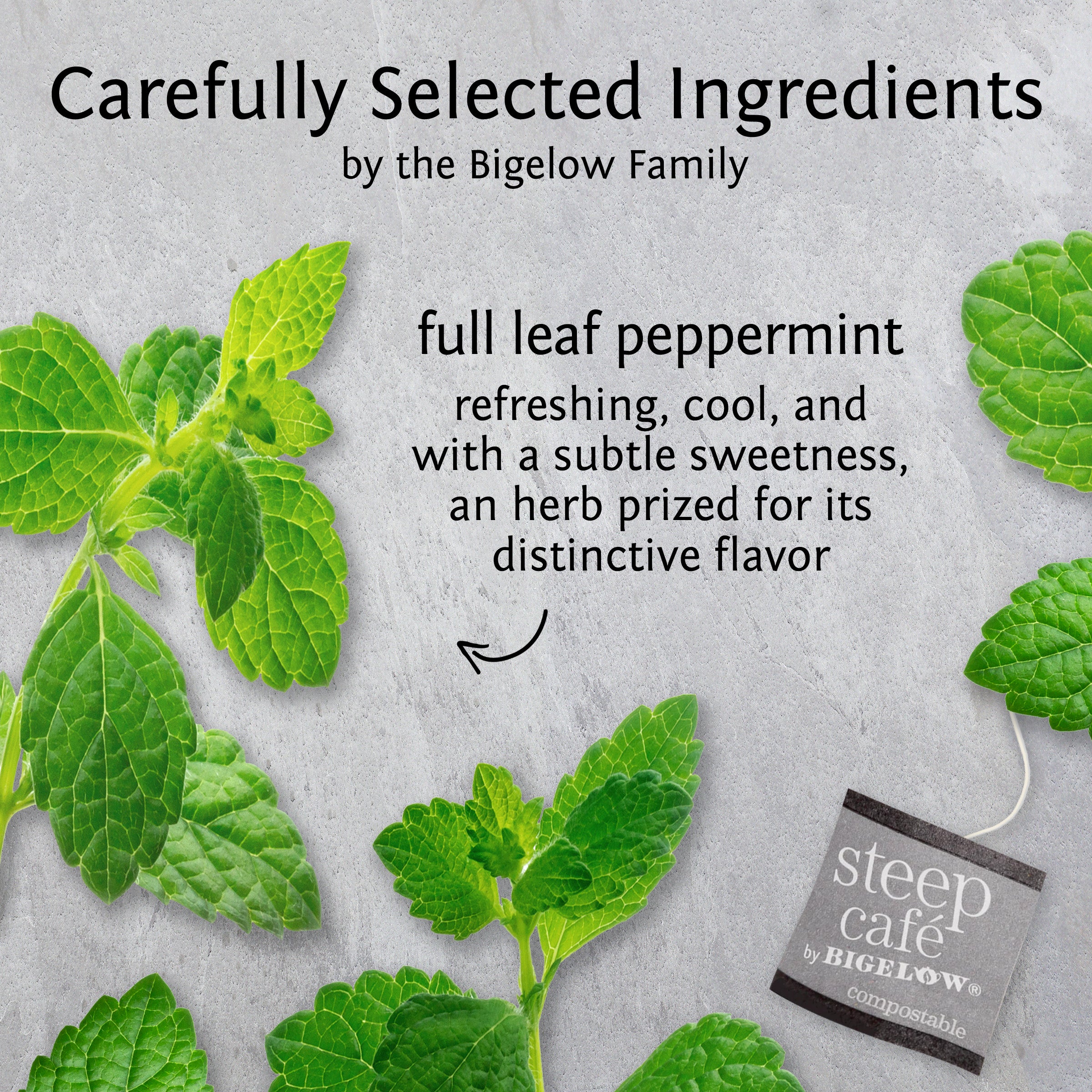 mint full leaf herbal tea - Image 3