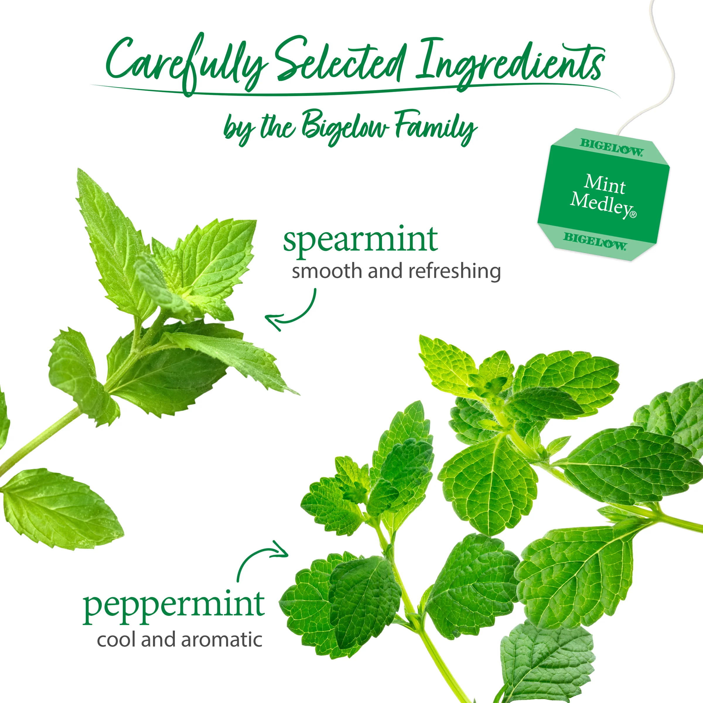 Mint Medley® Herbal Tea - Image 3