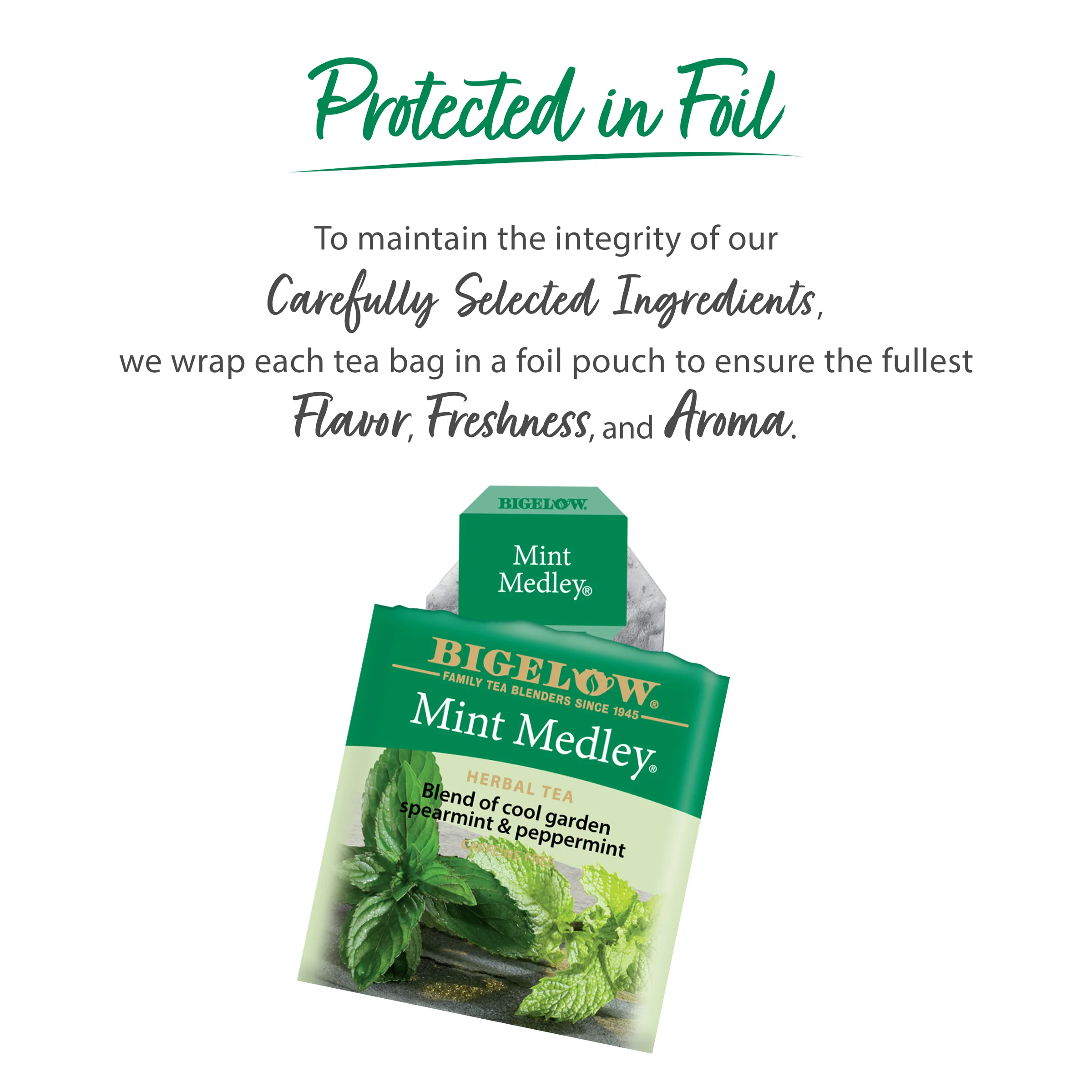 Mint Medley® Herbal Tea - Image 4
