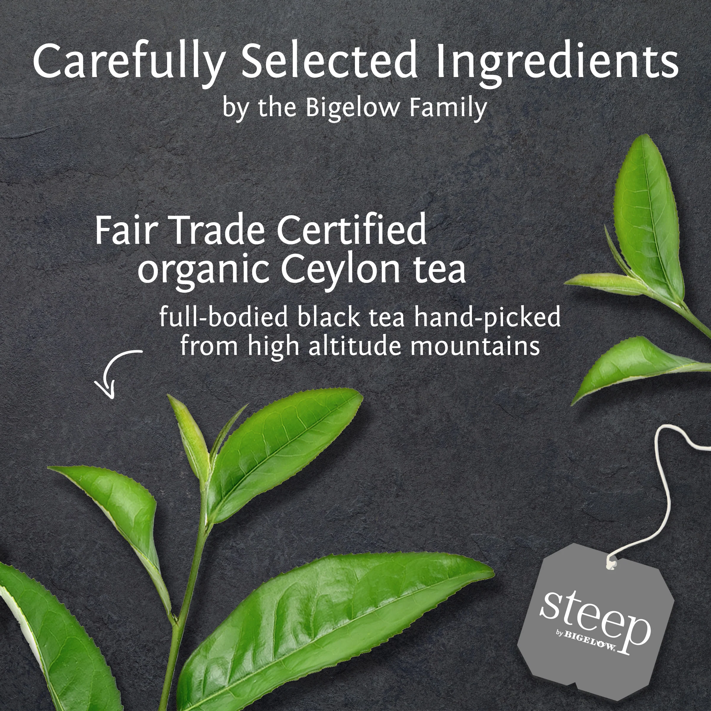 organic english breakfast black tea - Image 3