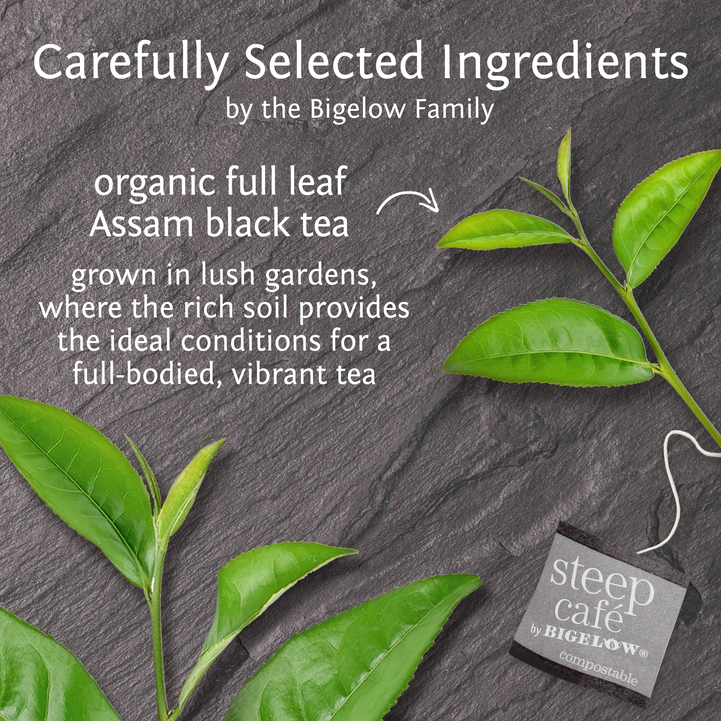 organic english breakfast full leaf black tea - Image 3