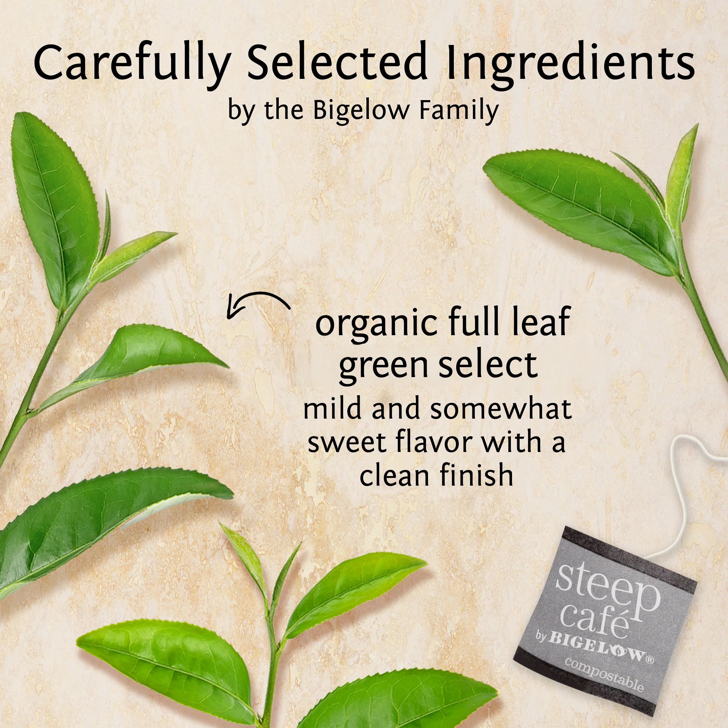 organic green select full leaf green tea - Image 3