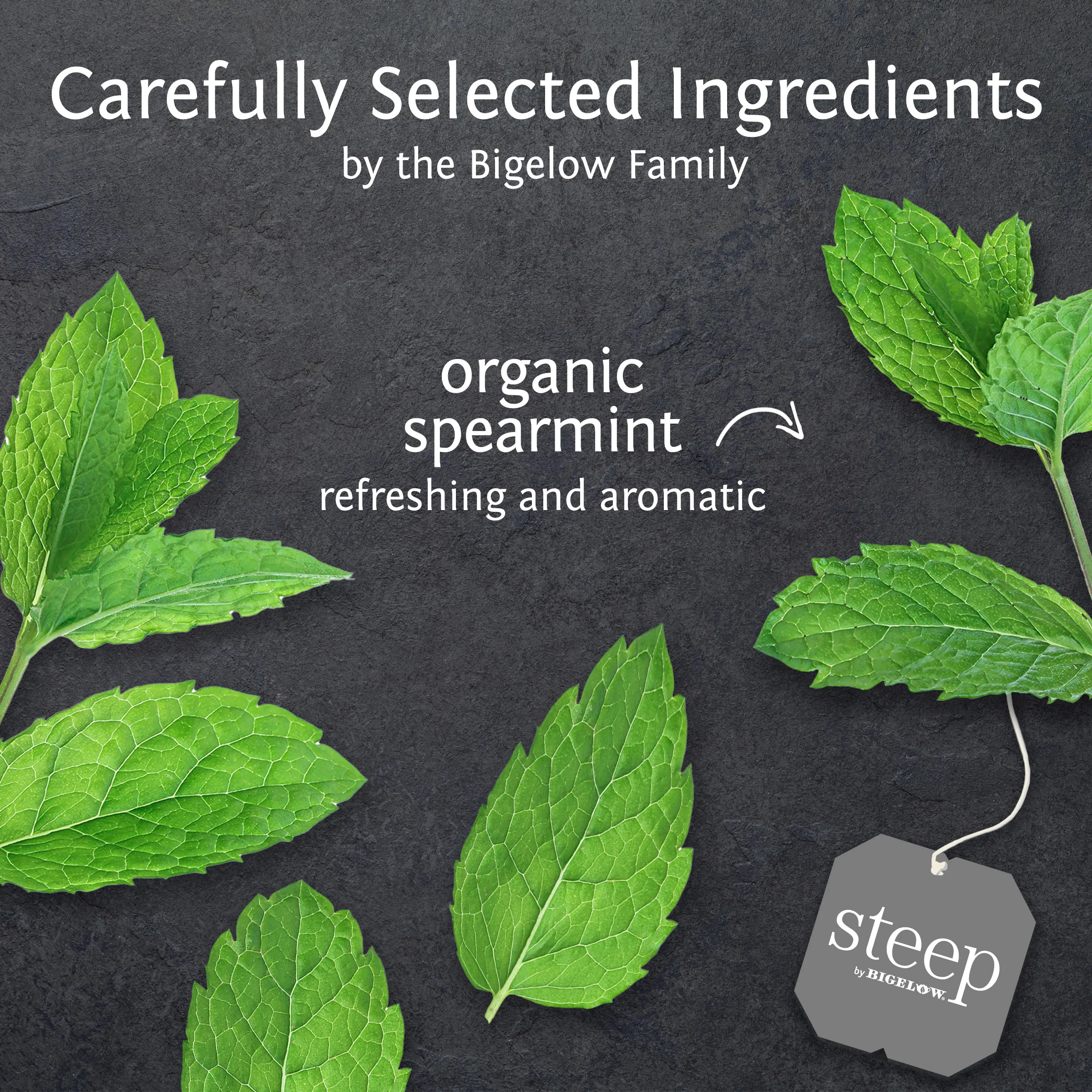 organic mint herbal tea - Image 3