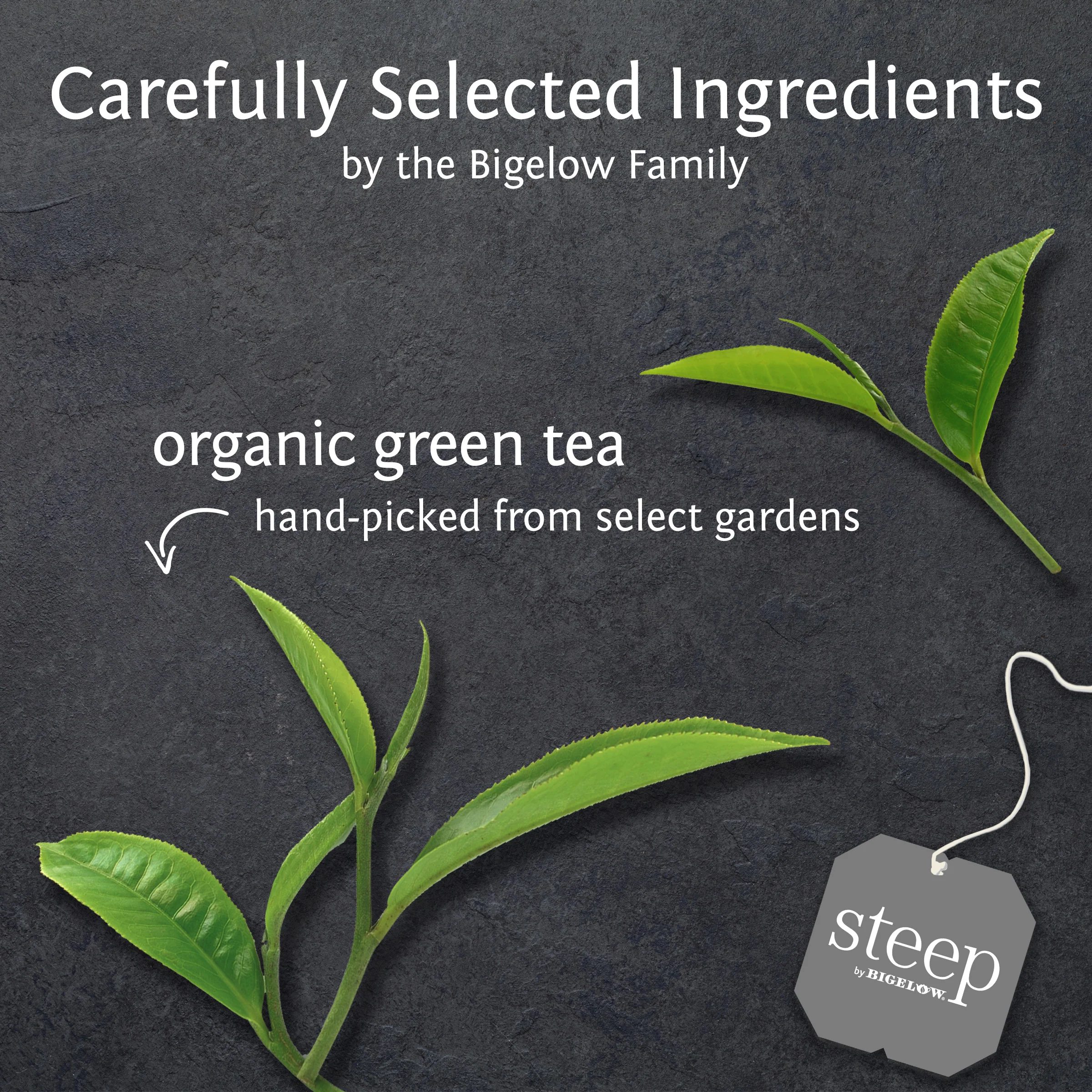 organic pure green tea - Image 3