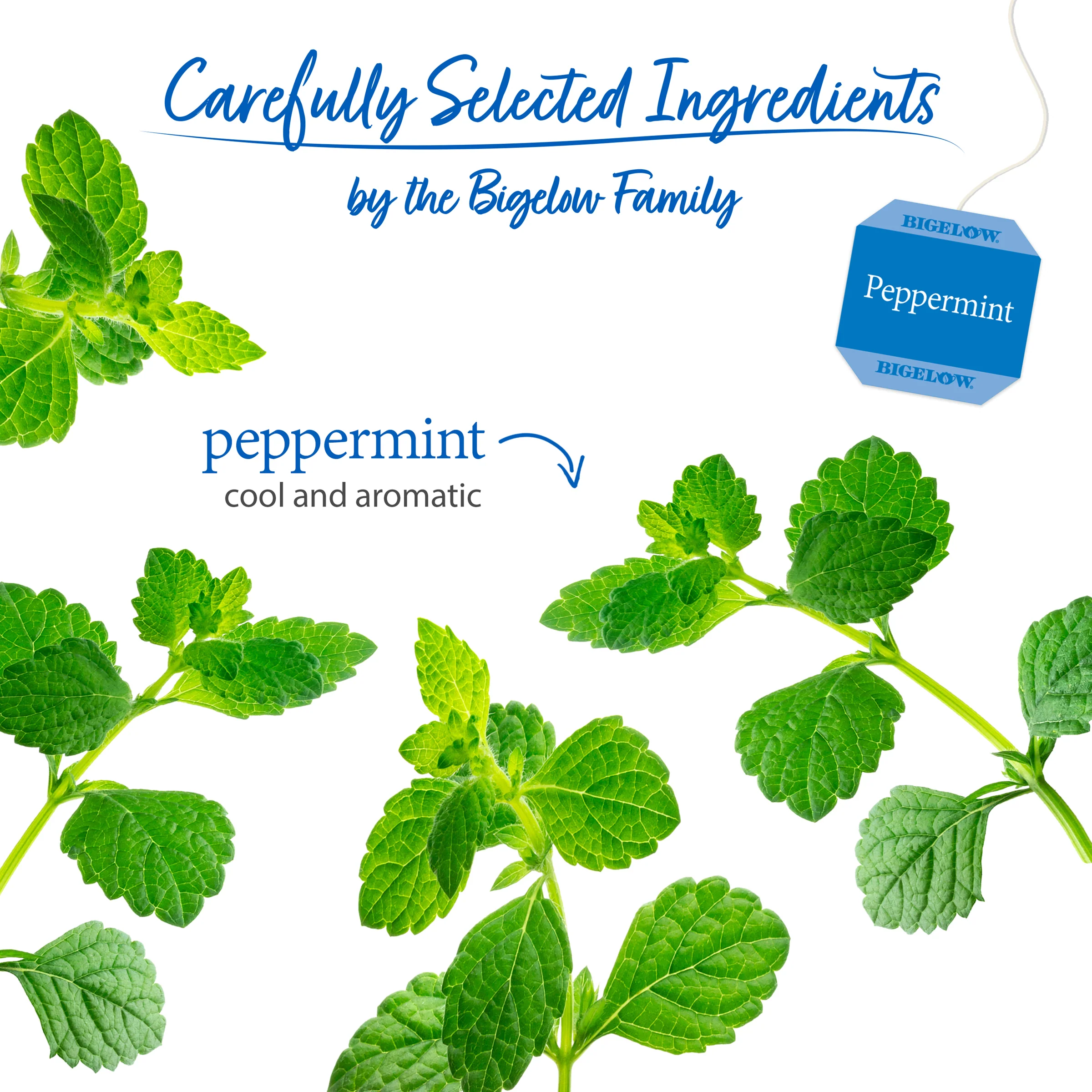 Peppermint Herbal Tea - Image 3