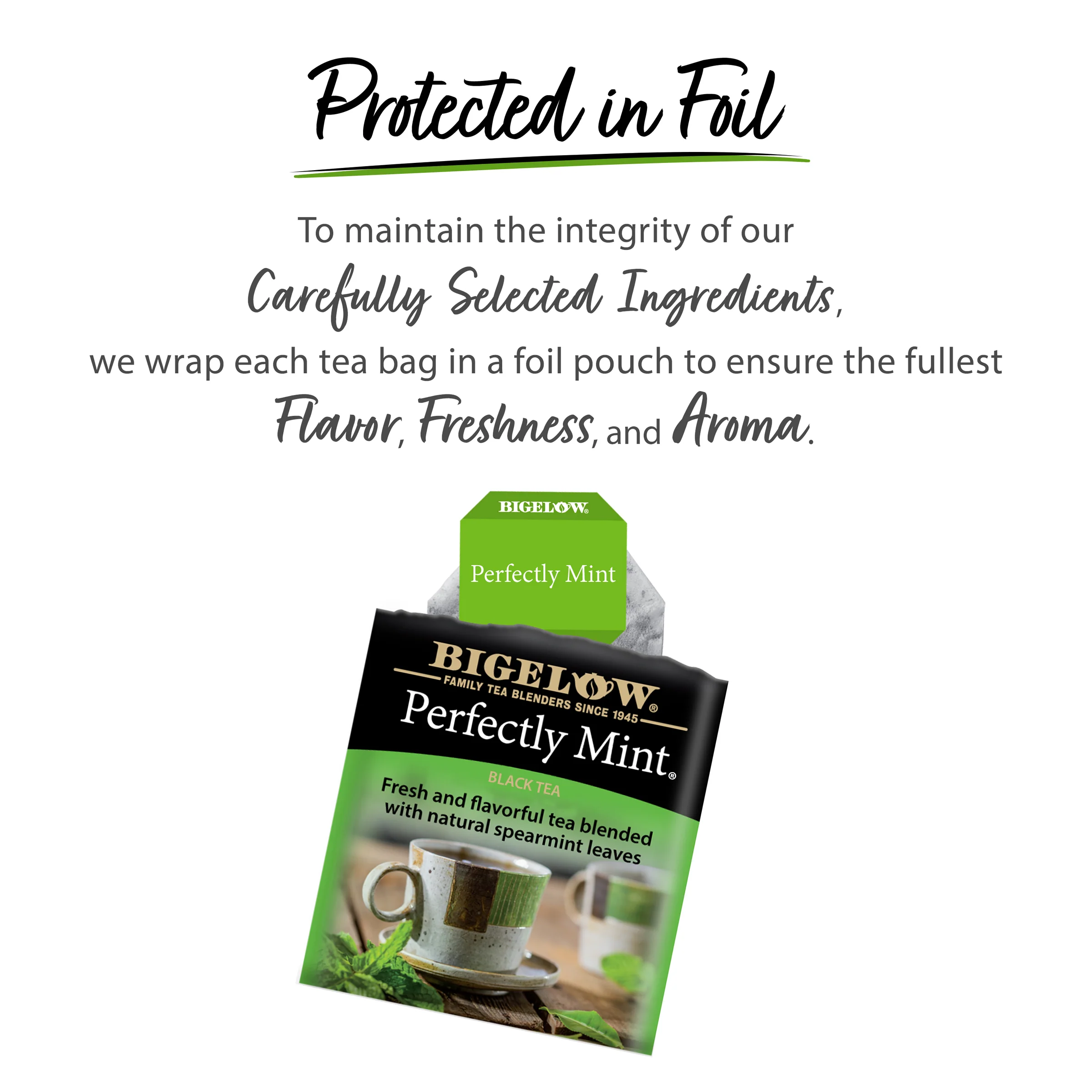 Perfectly Mint Black Tea - Image 4