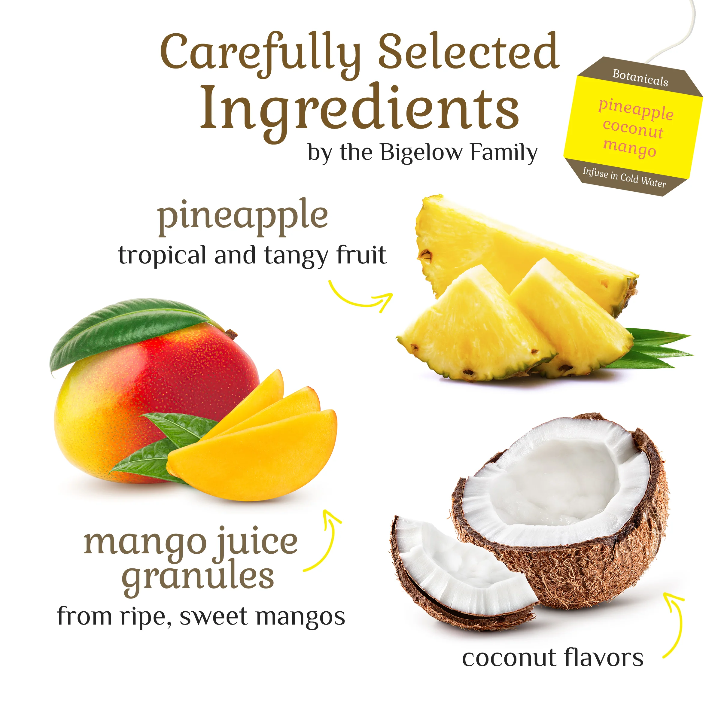 Pineapple Coconut Mango Cold Water Infusion - Image 3