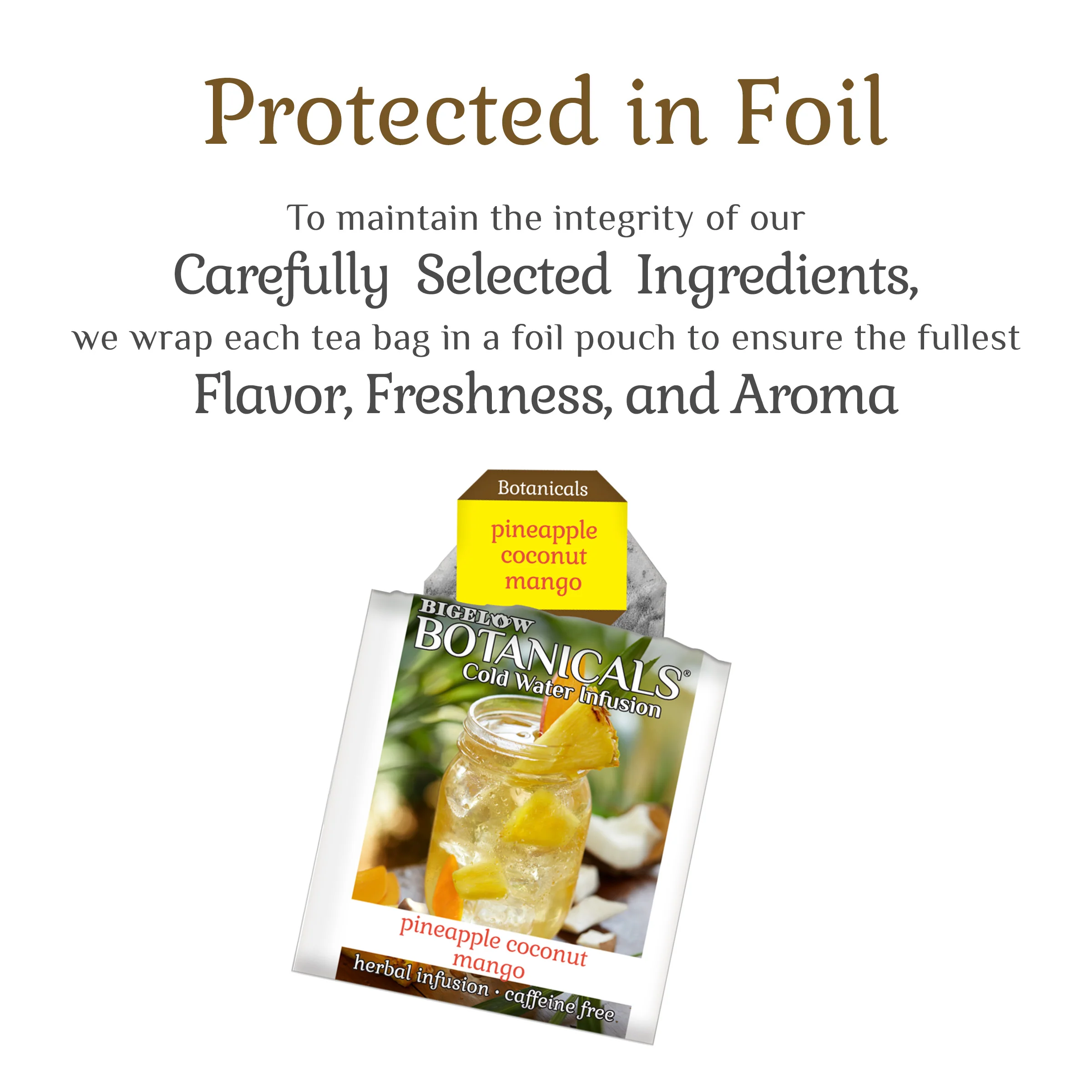 Pineapple Coconut Mango Cold Water Infusion - Image 4