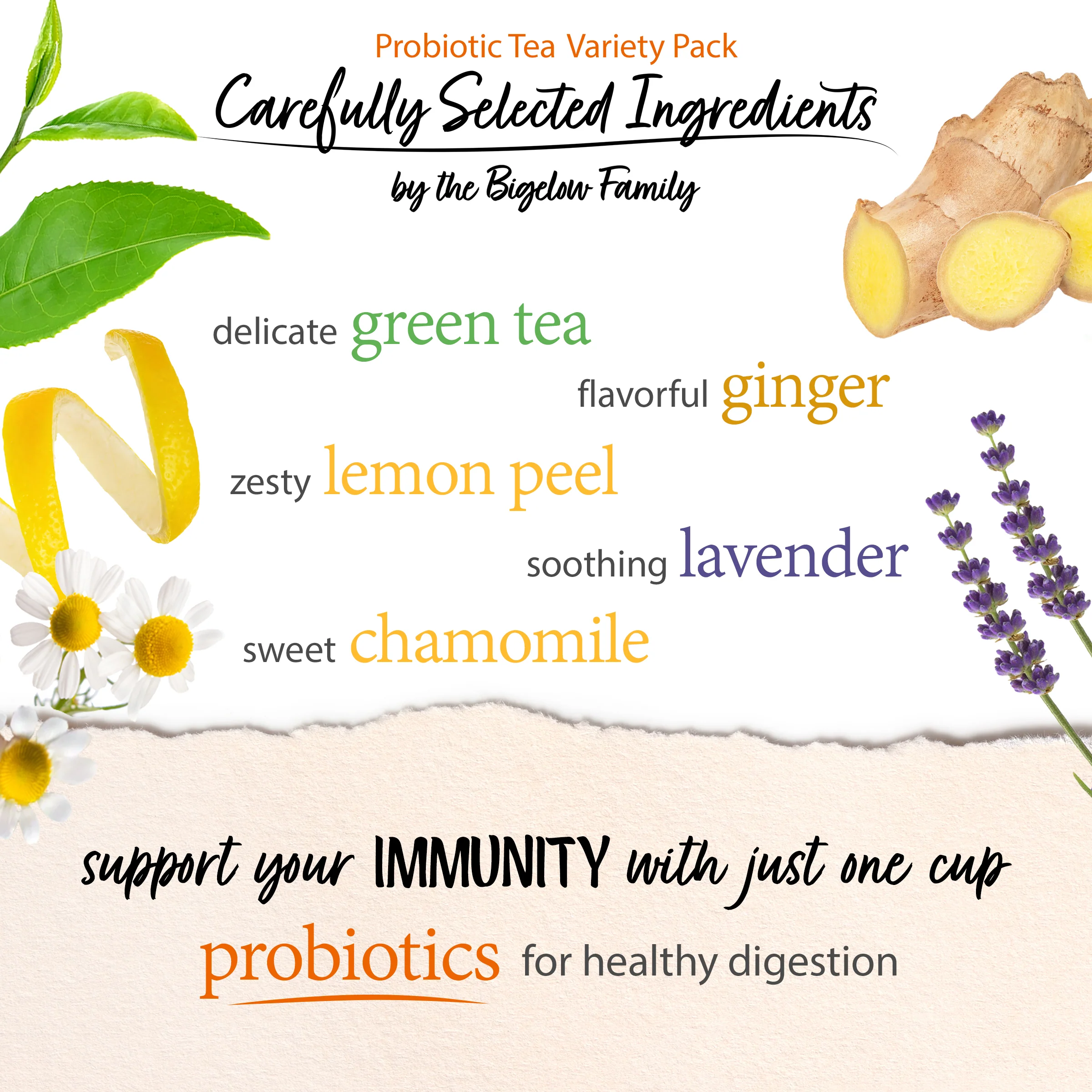 Probiotic Tea Variety Pack - Image 3