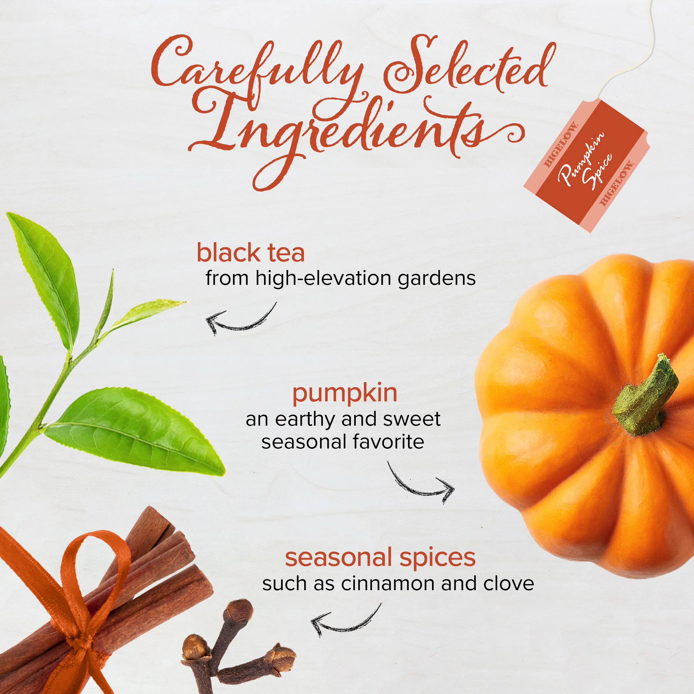 Pumpkin Spice Black Tea - Image 3