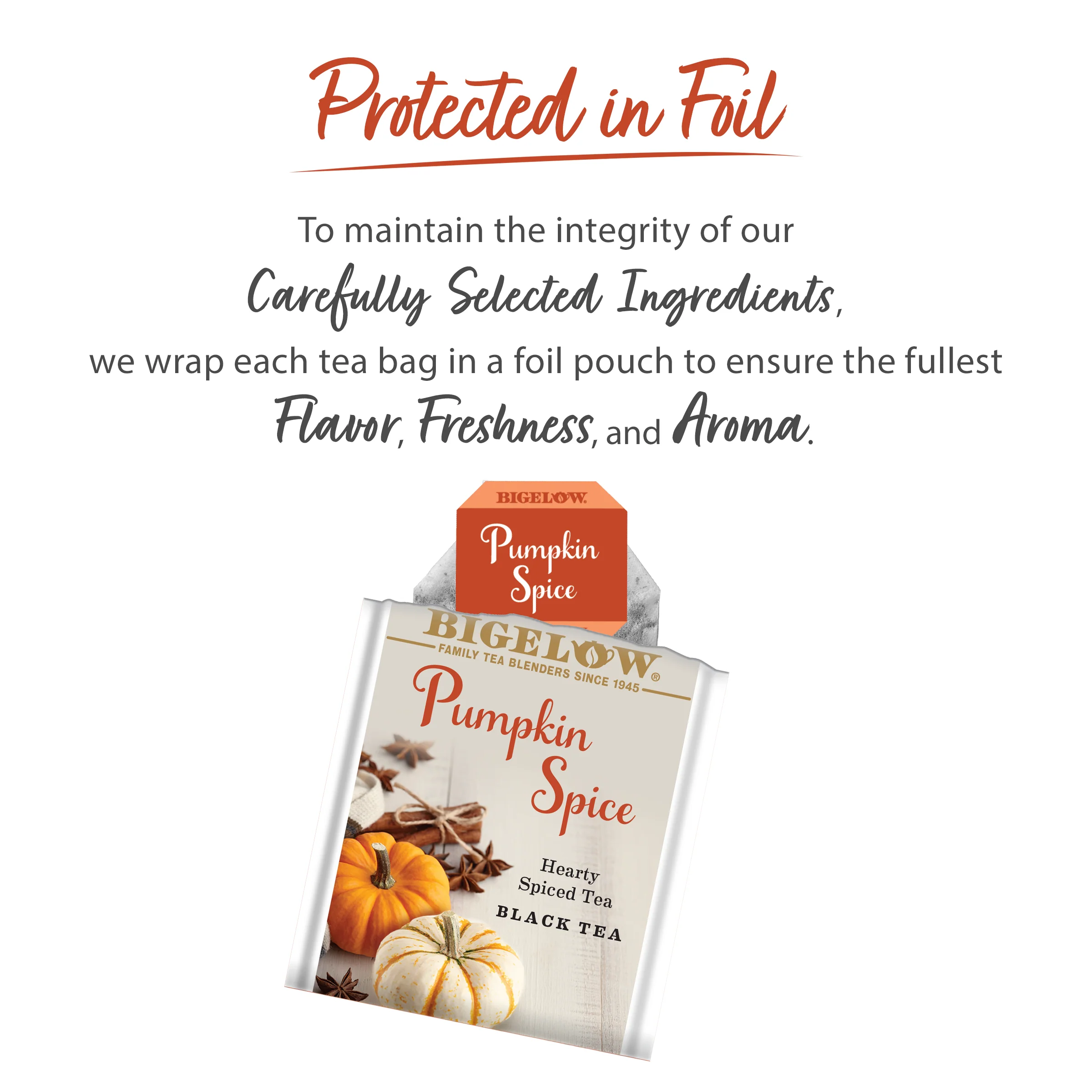 Pumpkin Spice Black Tea - Image 4