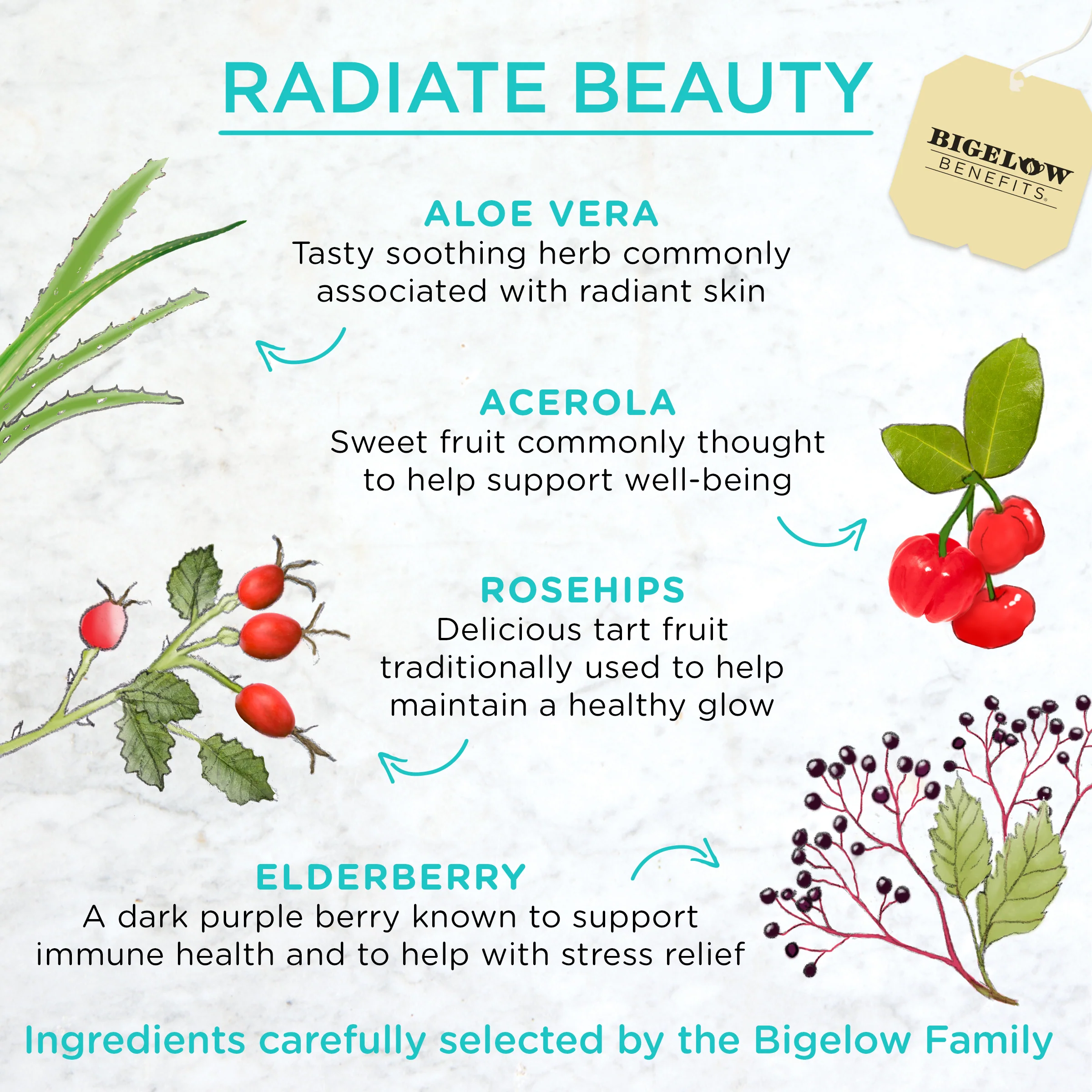 Radiate Beauty Blueberry and Aloe Herbal Tea - Image 3