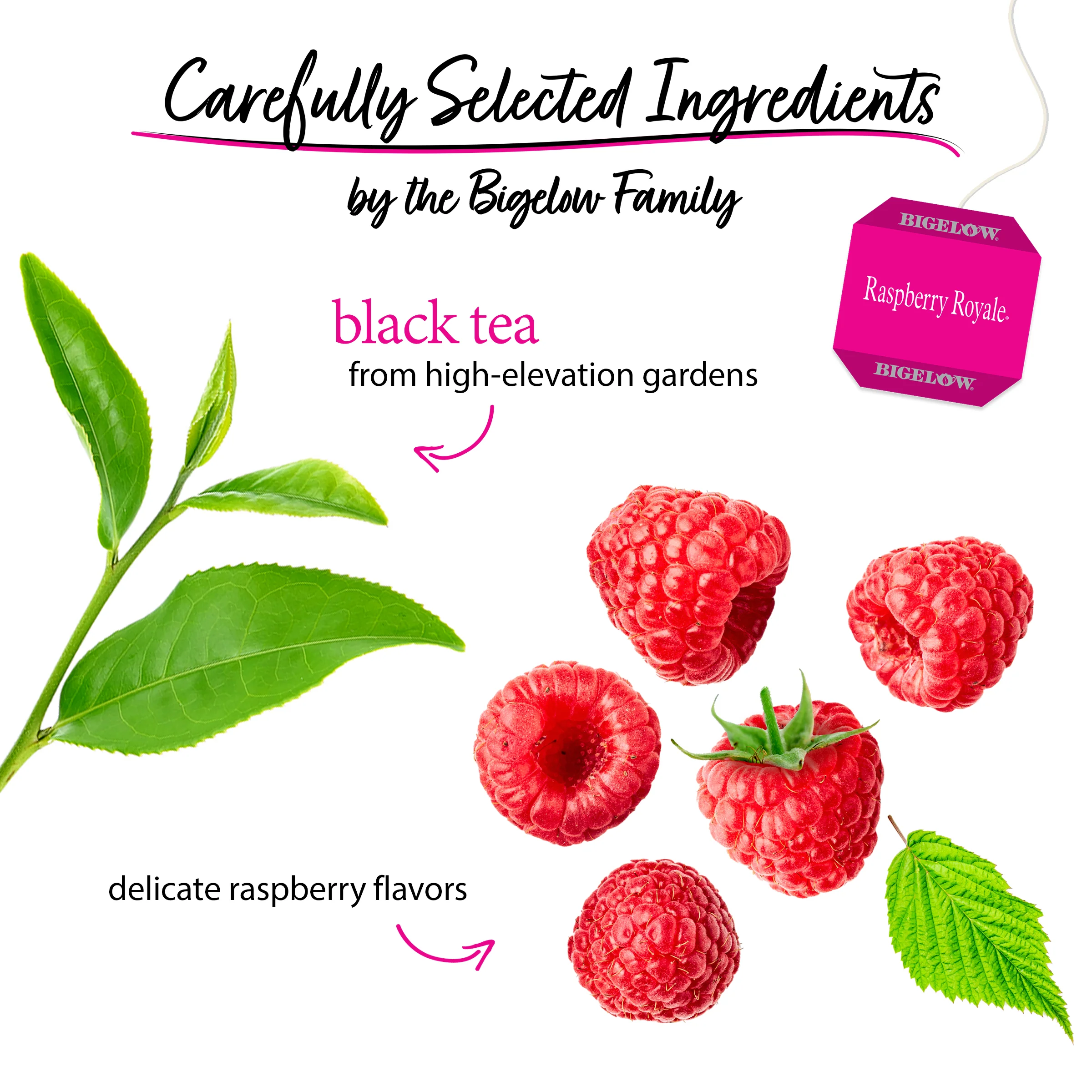 Raspberry Royale® Black Tea - Image 3